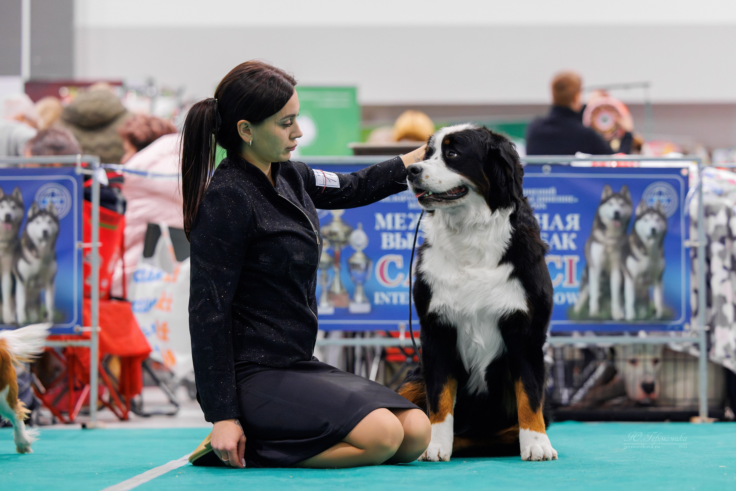 Минск 23.11.2024. Фотограф-анималист Юлия Германика