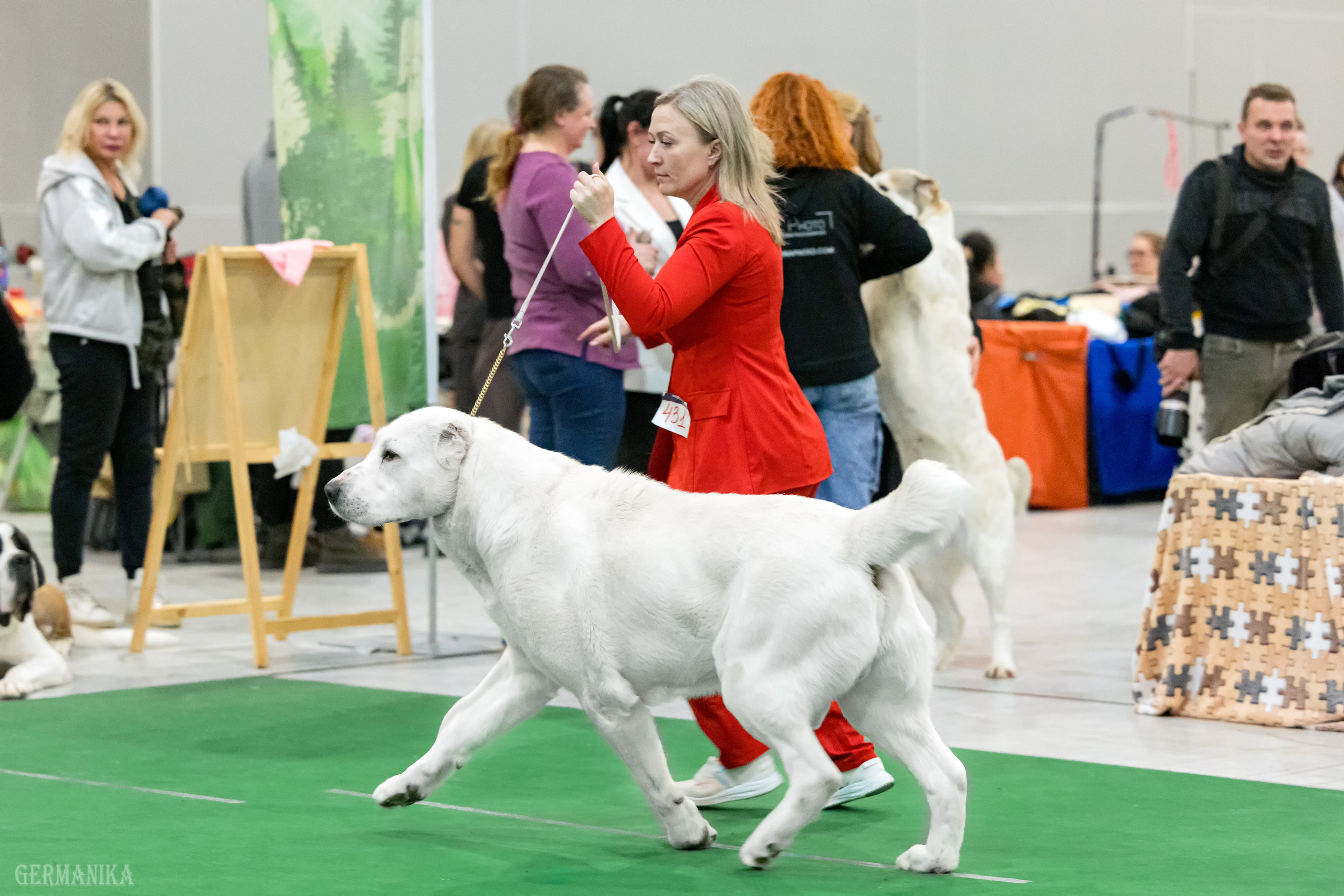 Сабанеевка 26-27.01.2024. Фотограф-анималист Юлия Германика