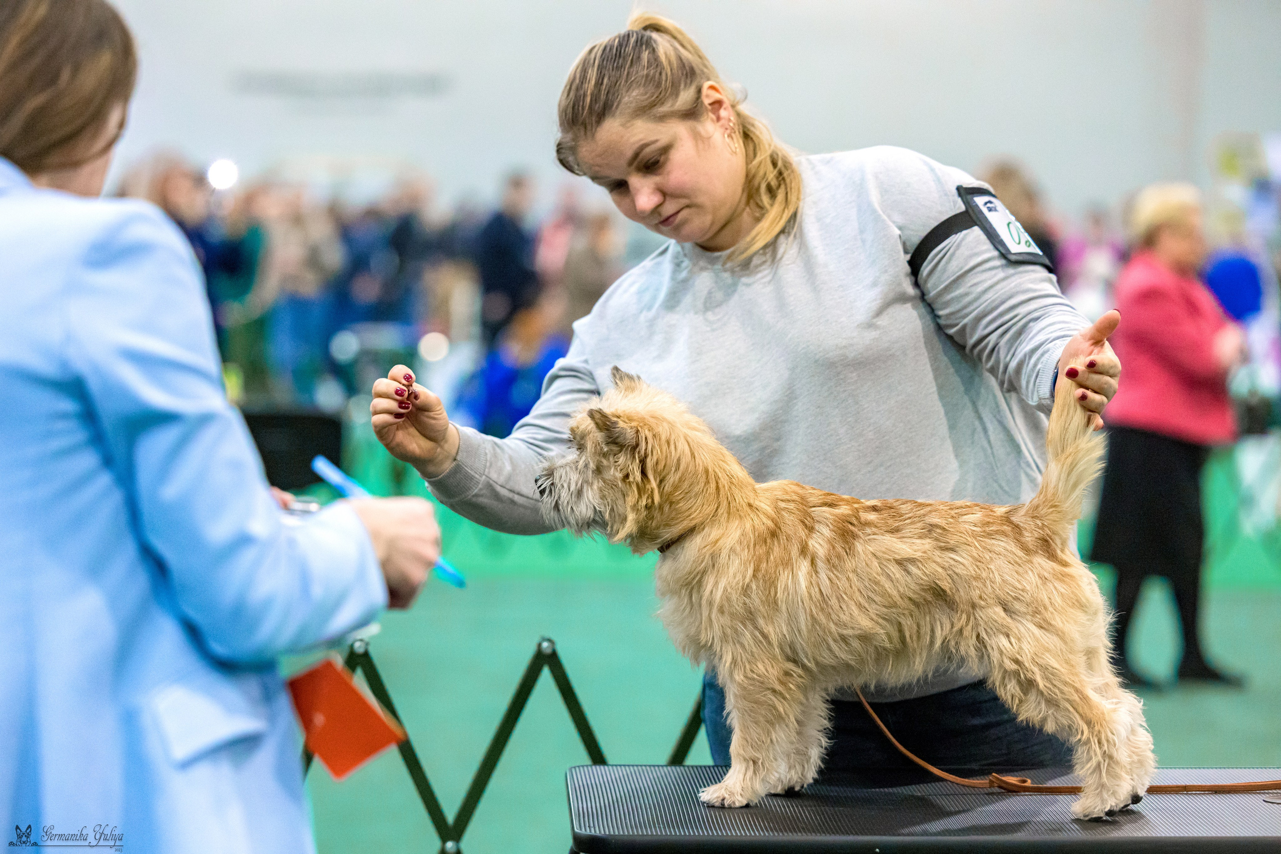 Крокус 3,9 и 10.12.2023. Фотограф-анималист Юлия Германика