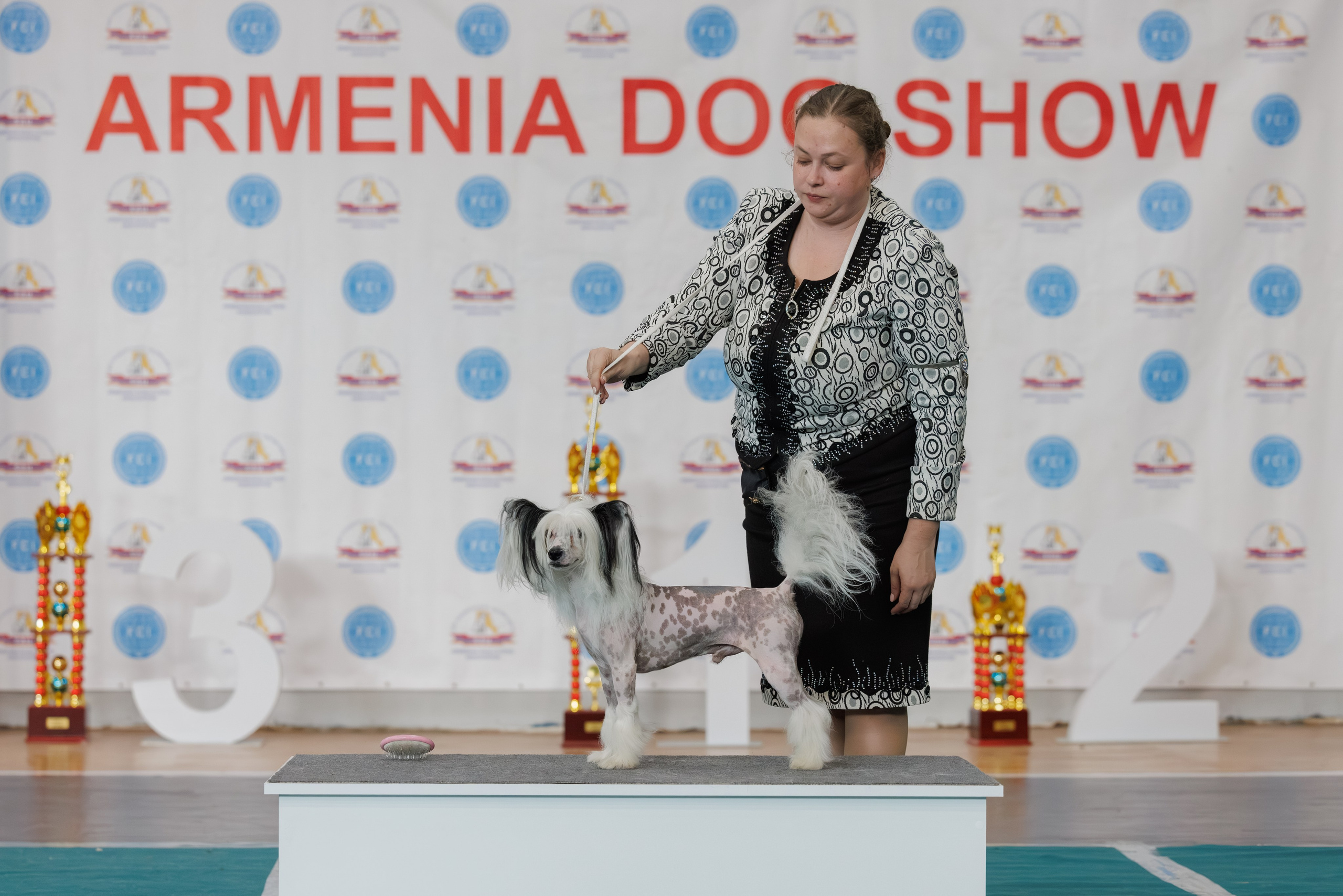 Ереван 2х CACIB 29-30.04.2025. Фотограф-анималист Юлия Германика