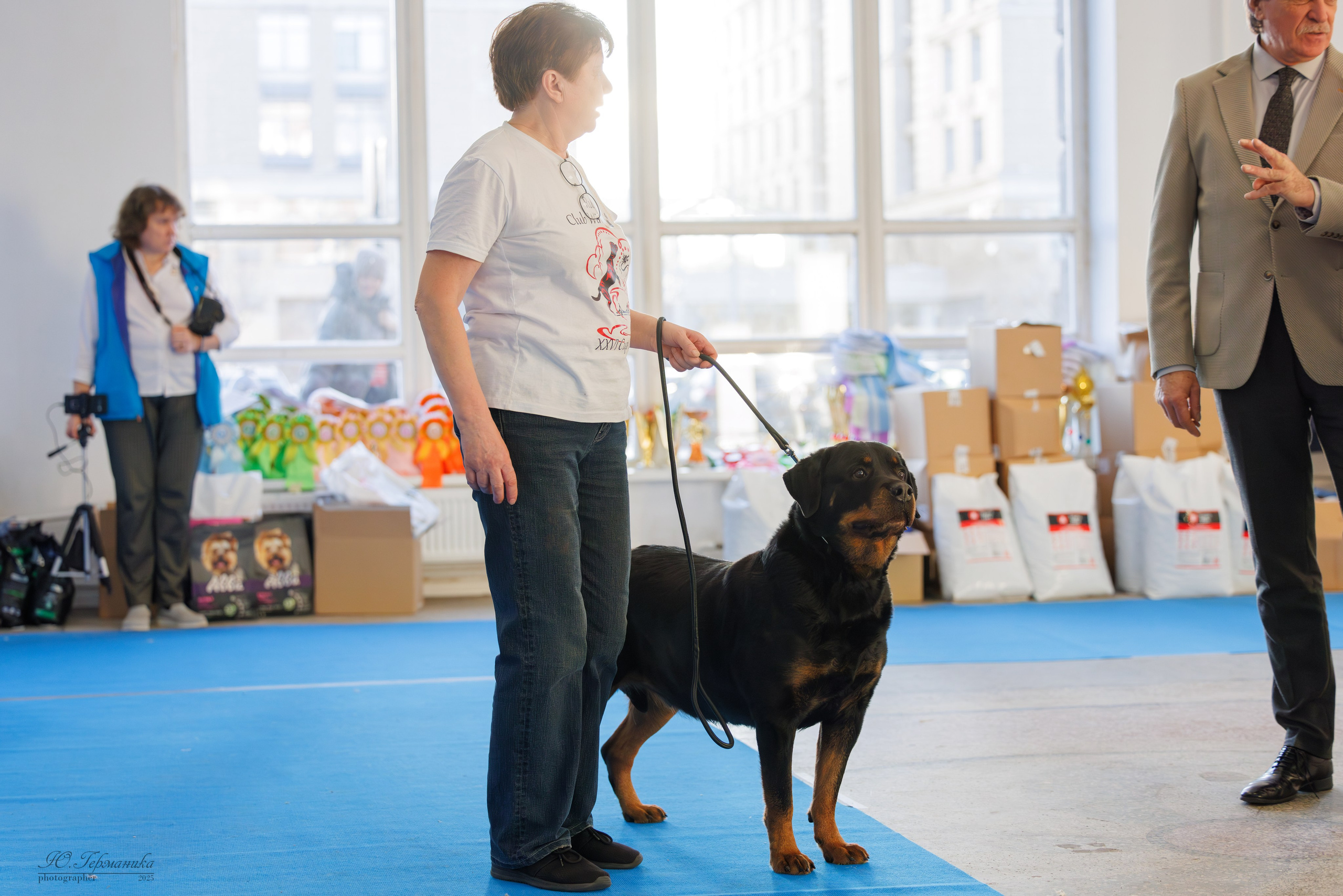 Питер ротвейлеры 18.01,Крокус 19.01.2025. Фотограф-анималист Юлия Германика