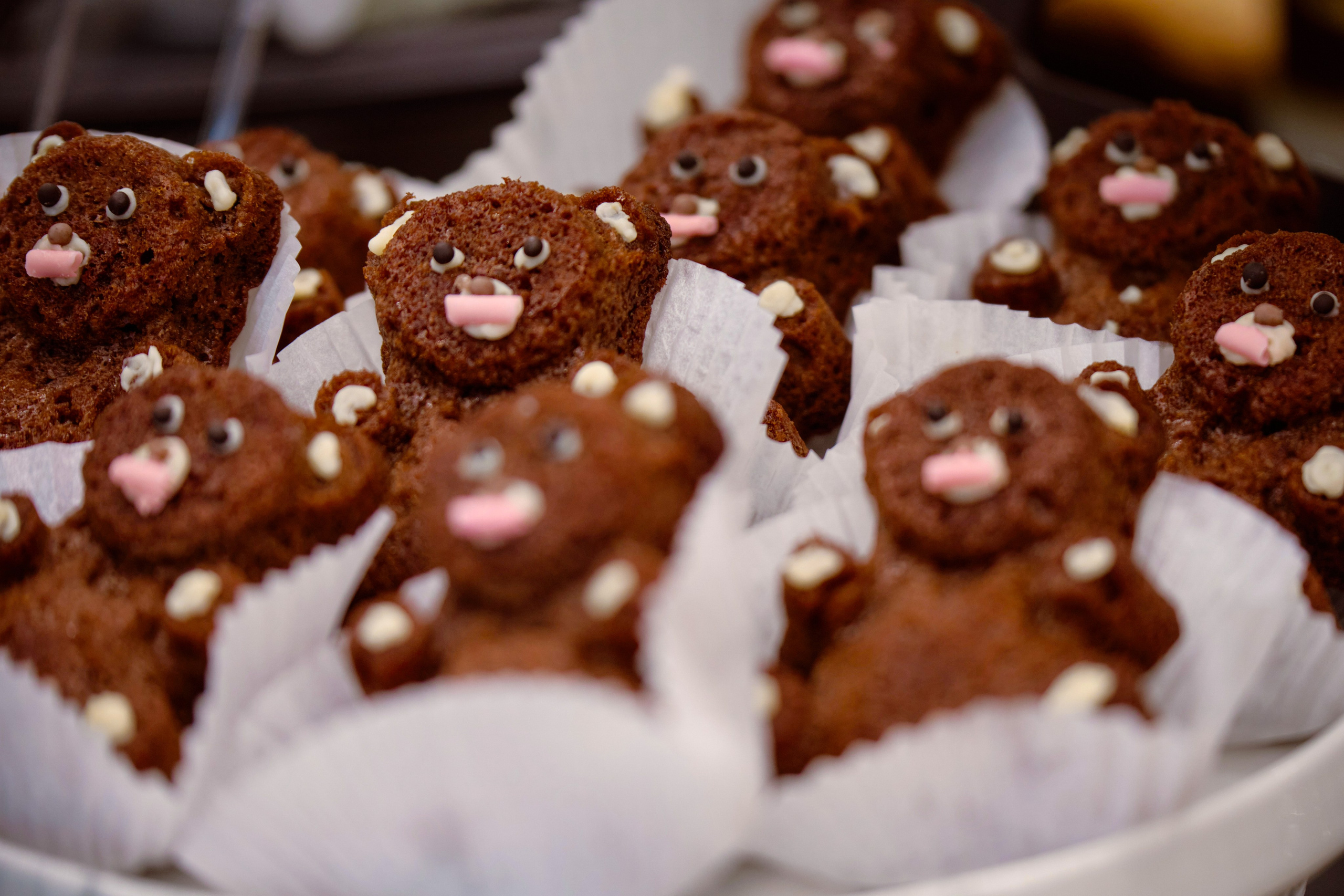 ОПТИК ЦЕНТ. Свадебный фотограф в Екатеринбурге Соседков Евгений