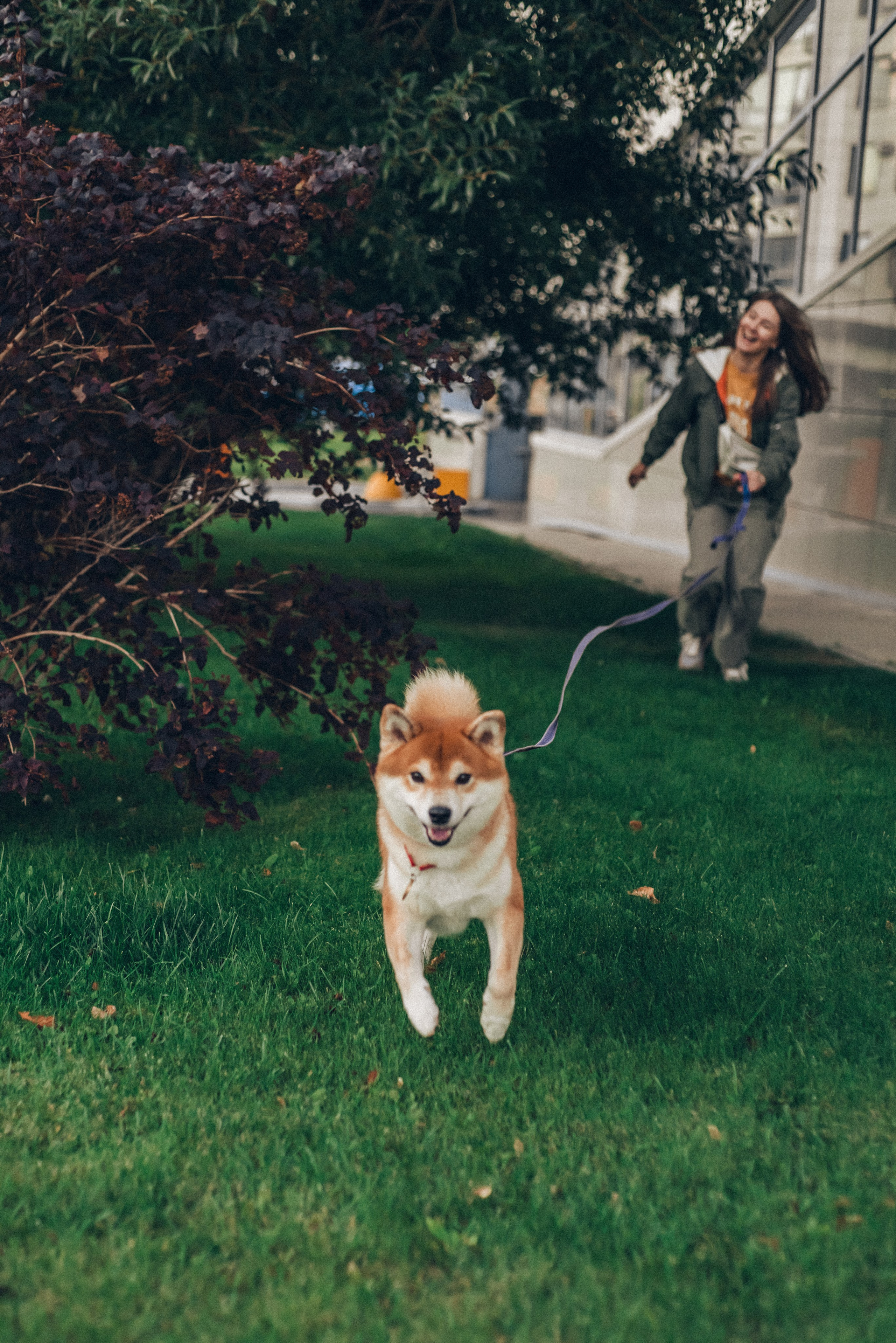 Ксения и Айки. Ольга Козлова фотограф Волгоград olkiny-fotki.ru