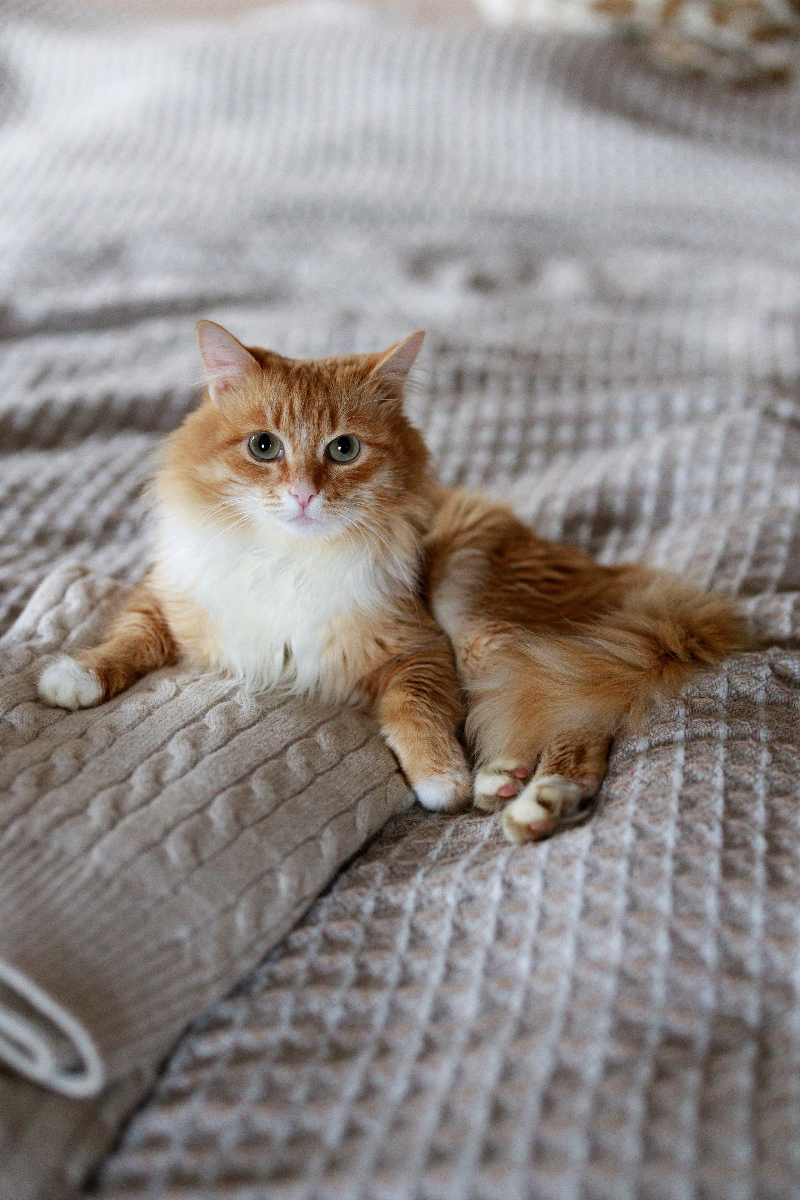 Бизнес и контент. Фотограф Санкт-Петербург Конюхова Мария