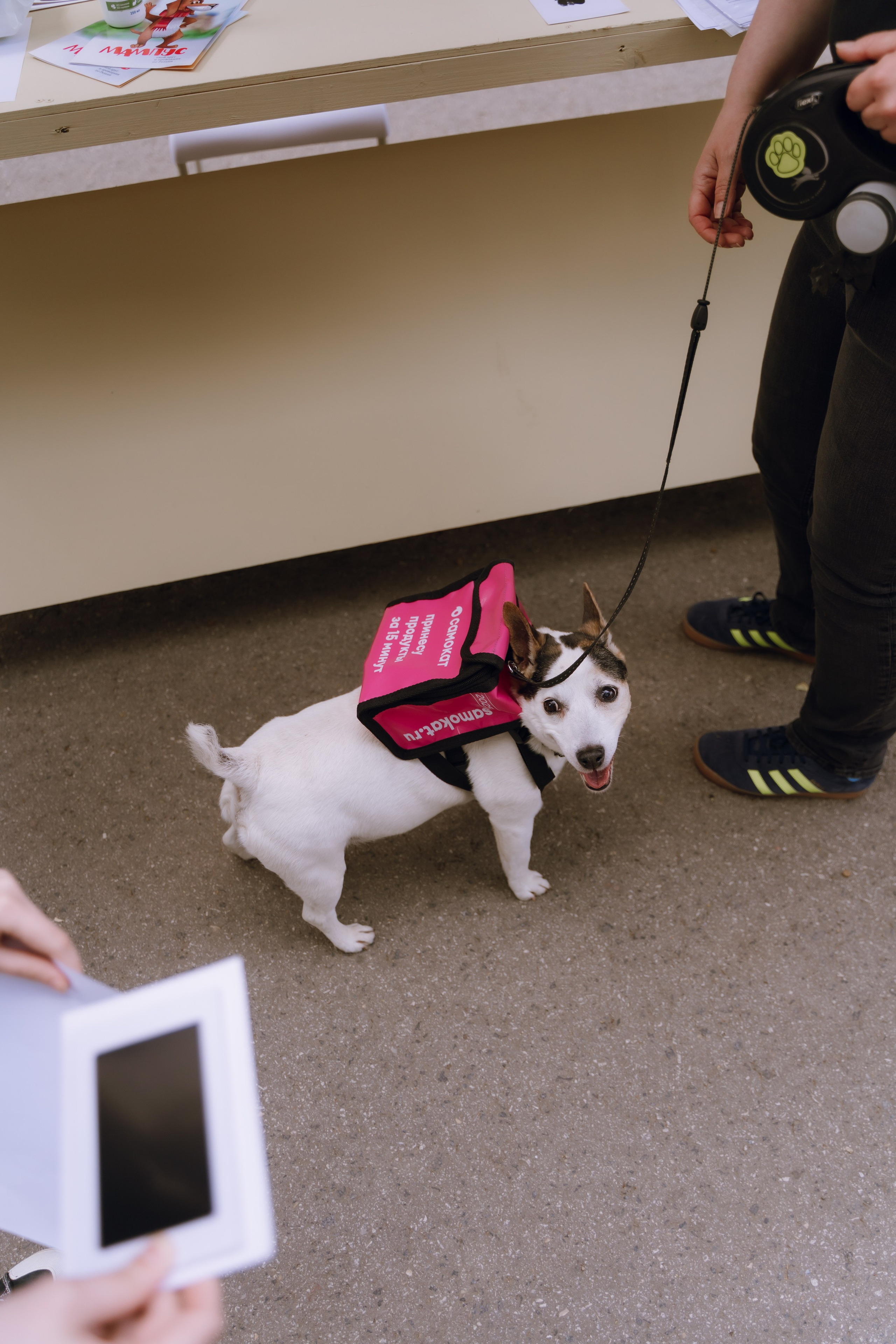 Площадка фестиваля «Мампус и его друзья» в Лесопарке 2025. Фотограф Надежда Погребняк | Рязань | Москва