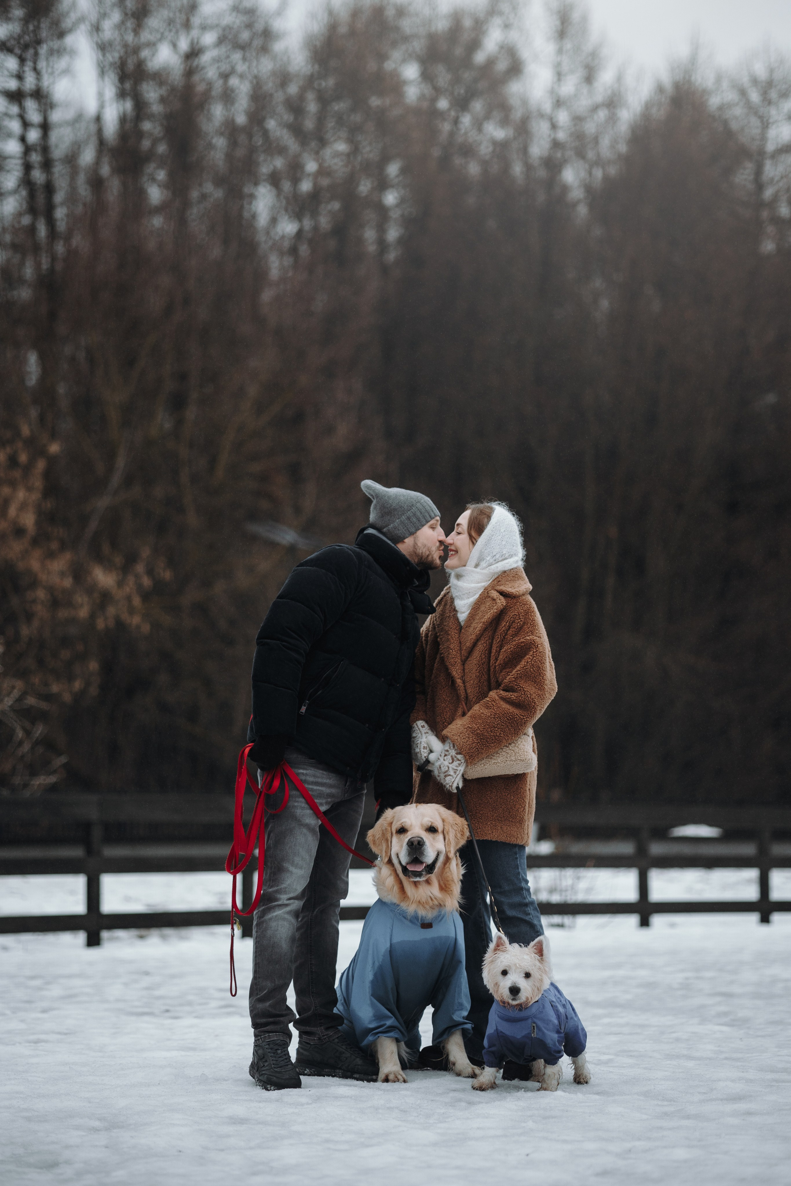 Шелби, Ватсон и ребята. Фотограф — Анималист | Санкт-Петербург