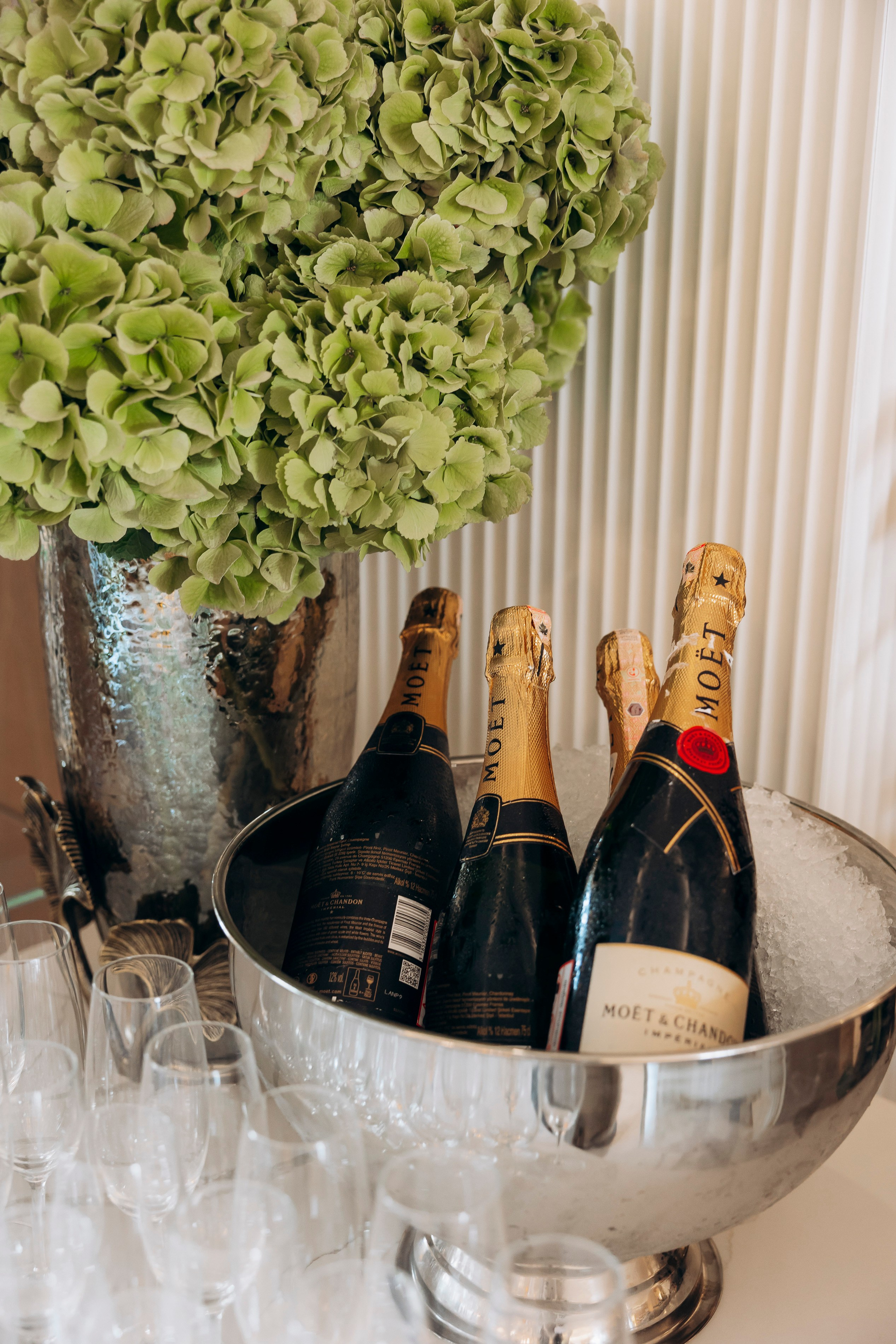 Открытие отеля Royal Lions Grand Hotel 15 сентября 2024. Фотограф в Калининграде свадебная фотография, репортажная, фотосессии