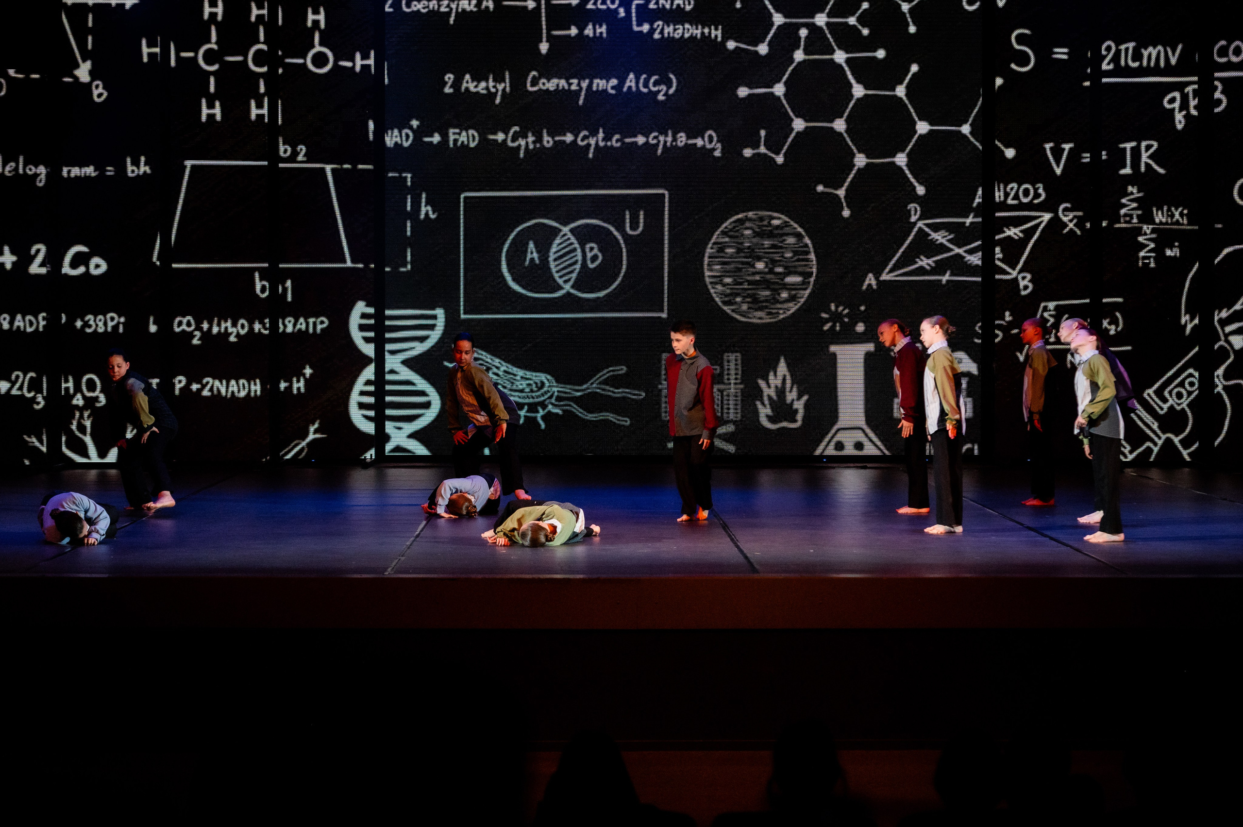 Концерты. Дом детской фотографии Арсюткиной Наталии™