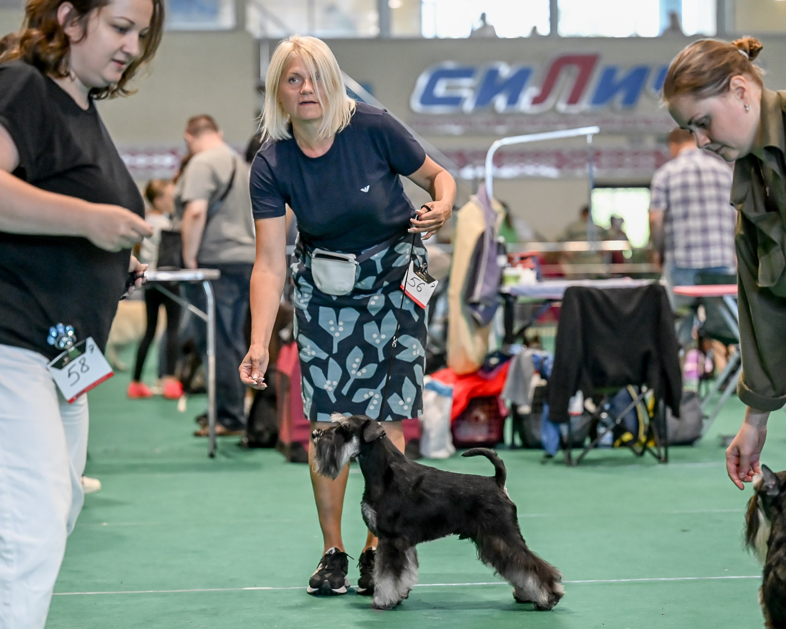 Цафир⚡️DELINSO BALANCE СZAFIR LUMIER