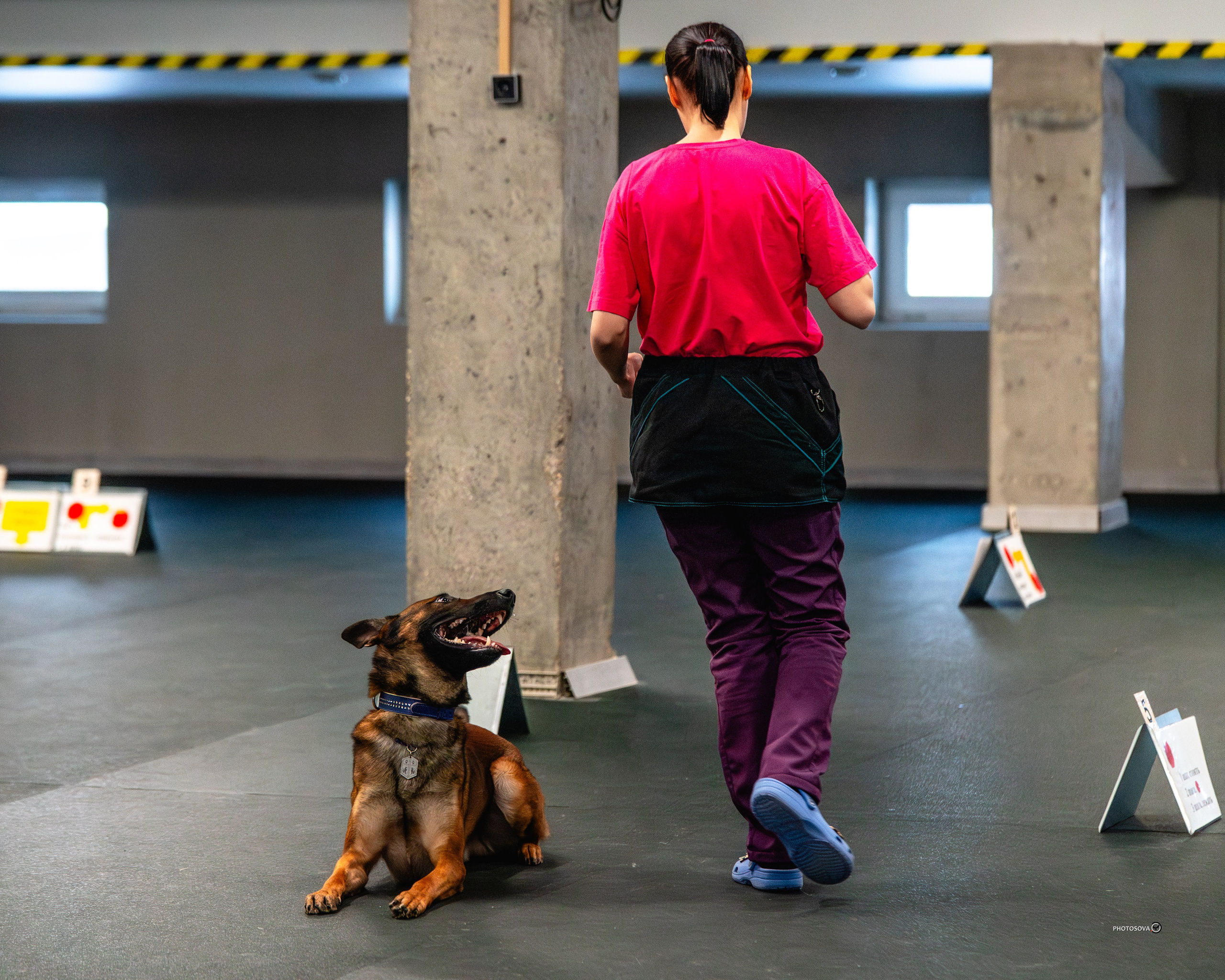ТЫ И Я (соревнования по ралли-обидиенс). Фотограф-анималист, семейный фотограф в Москве и Подмосковье. Фотосъёмка кинологических дисциплин