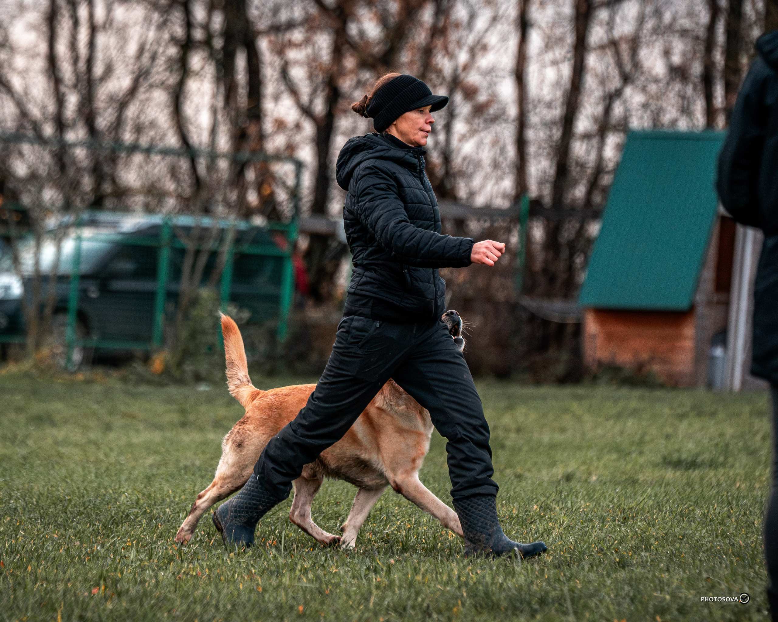МЫ — КОМАНДА (соревнования) OKD, BH, IBGH, IGP. Фотограф-анималист, семейный фотограф в Москве и Подмосковье. Фотосъёмка кинологических дисциплин