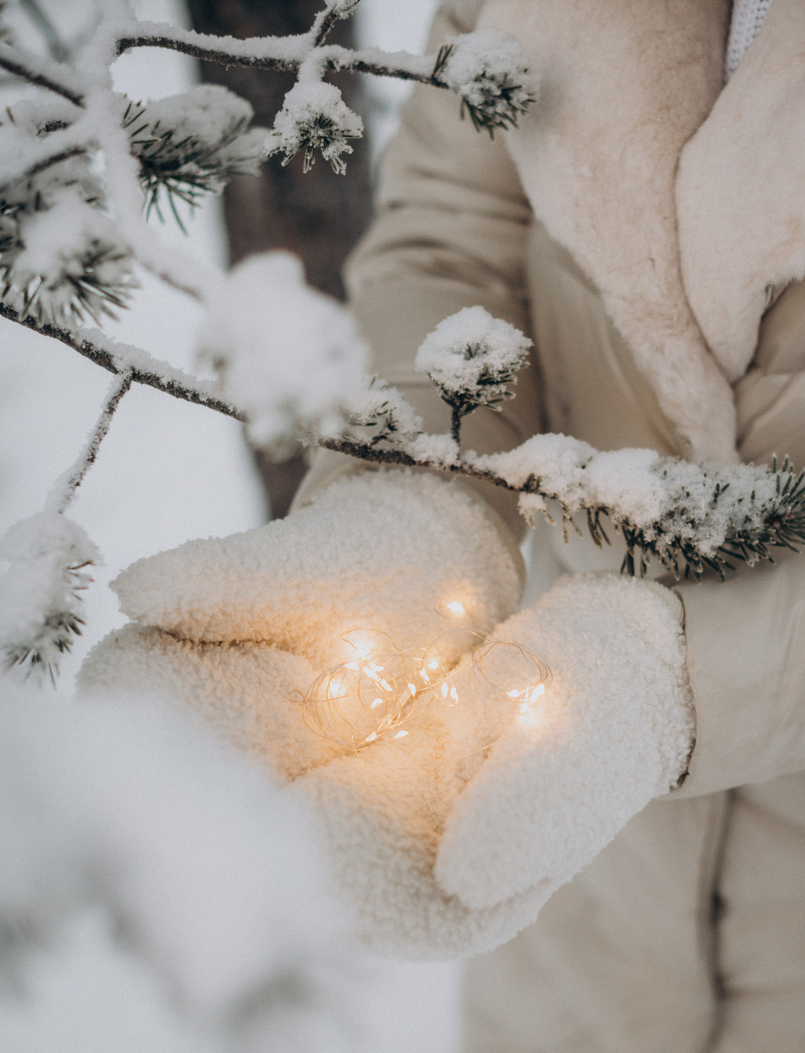 Хаски-терапия. Фотограф Наталья Могилевская Мурманск Териберка Сейдозеро Рыбачий