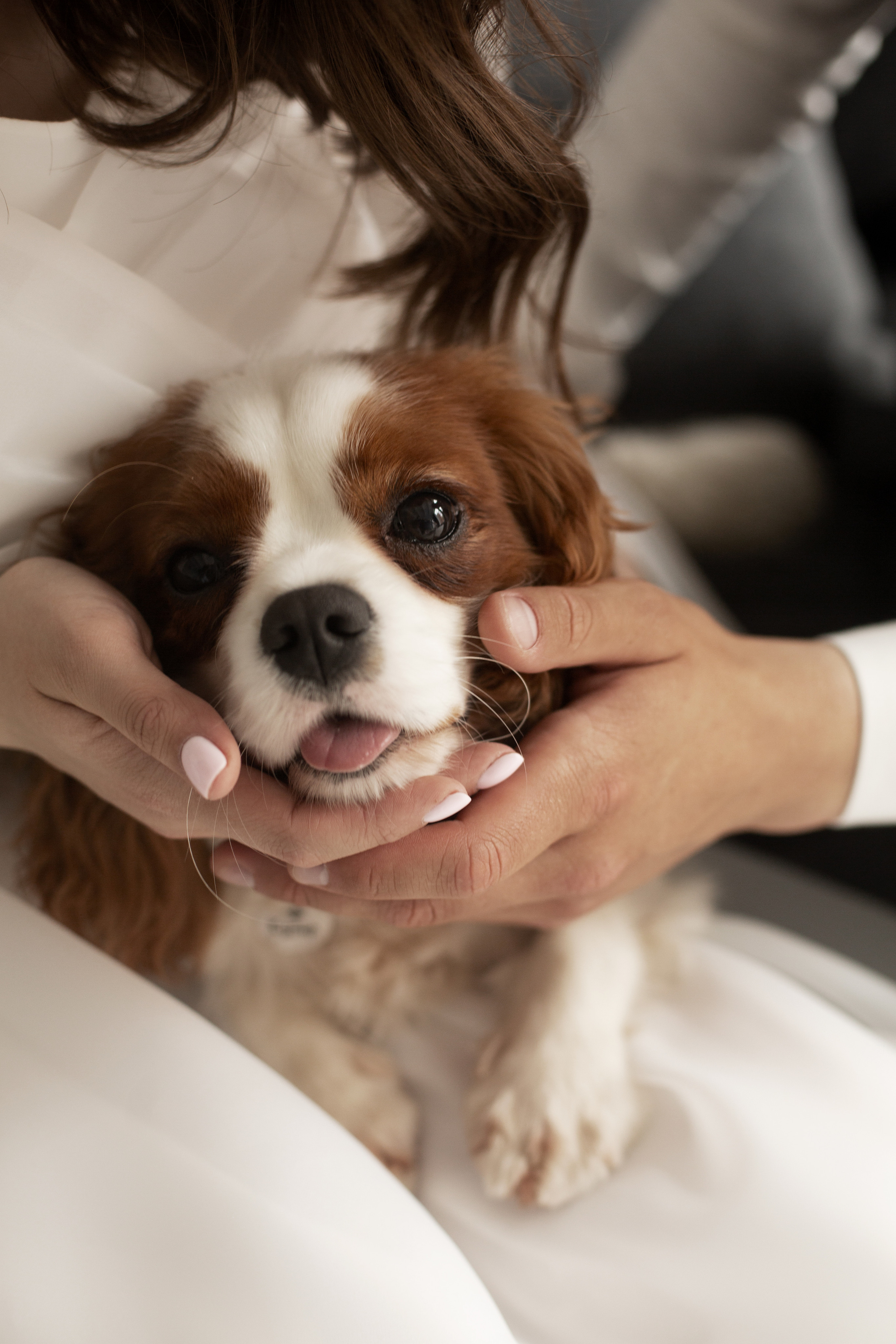 Алина и Ян. Фотограф Алина Кучумова