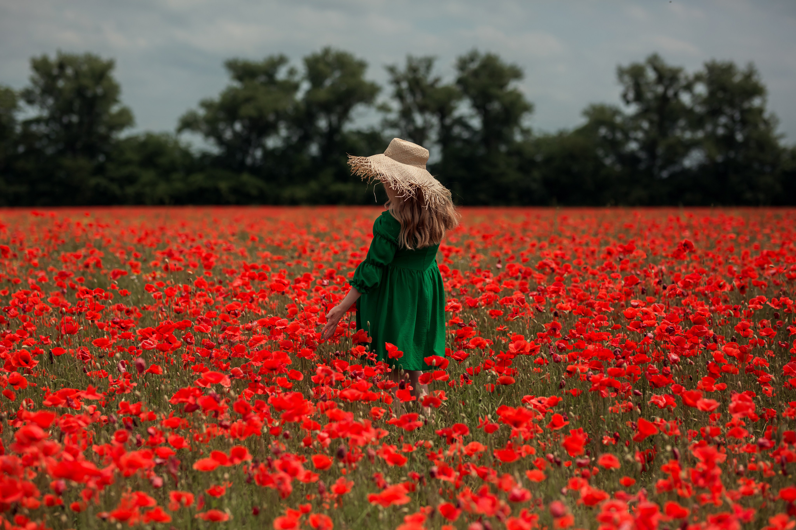 Маковое поле. Семейный и детский фотограф Екатерина Савёлова