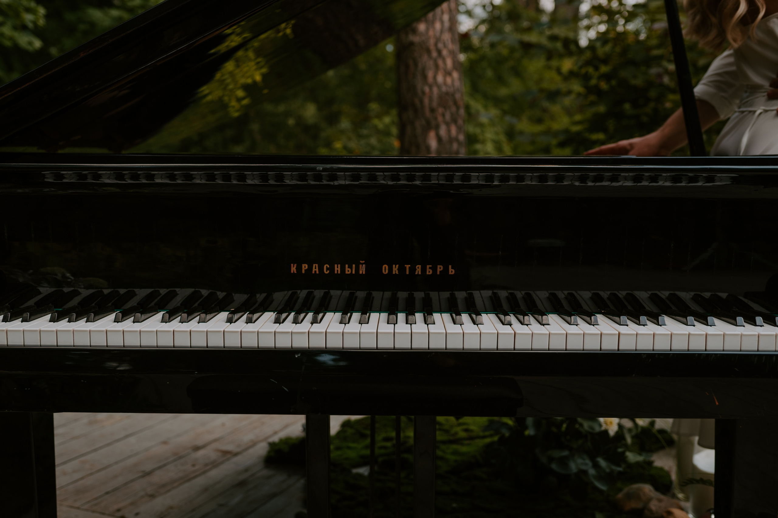 Жить вечно. Свадебный, репортажный и семейный фотограф в Москве Арина Зак