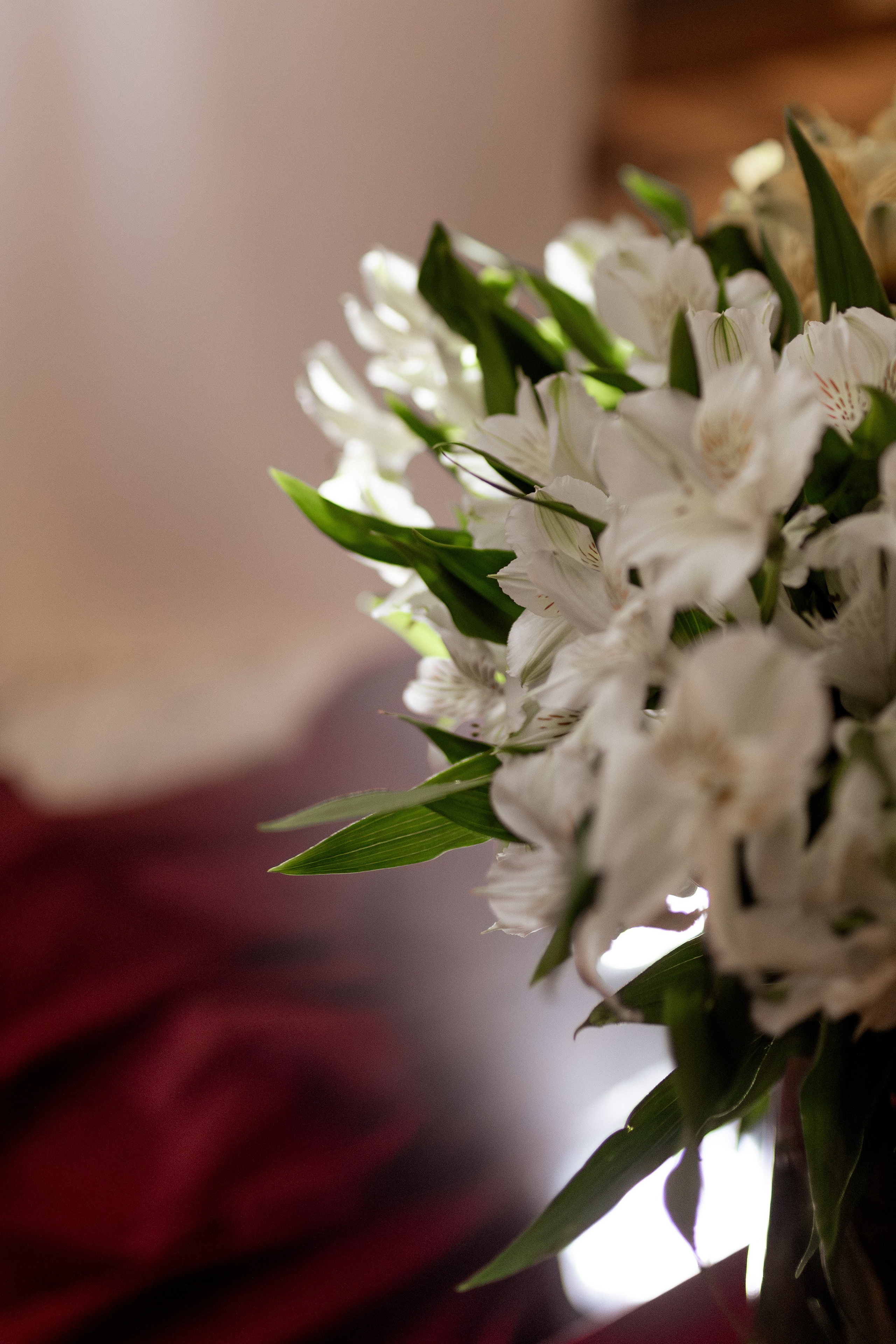 Никита и Дарья. Фотограф Ольга Харлашина г. Оренбург