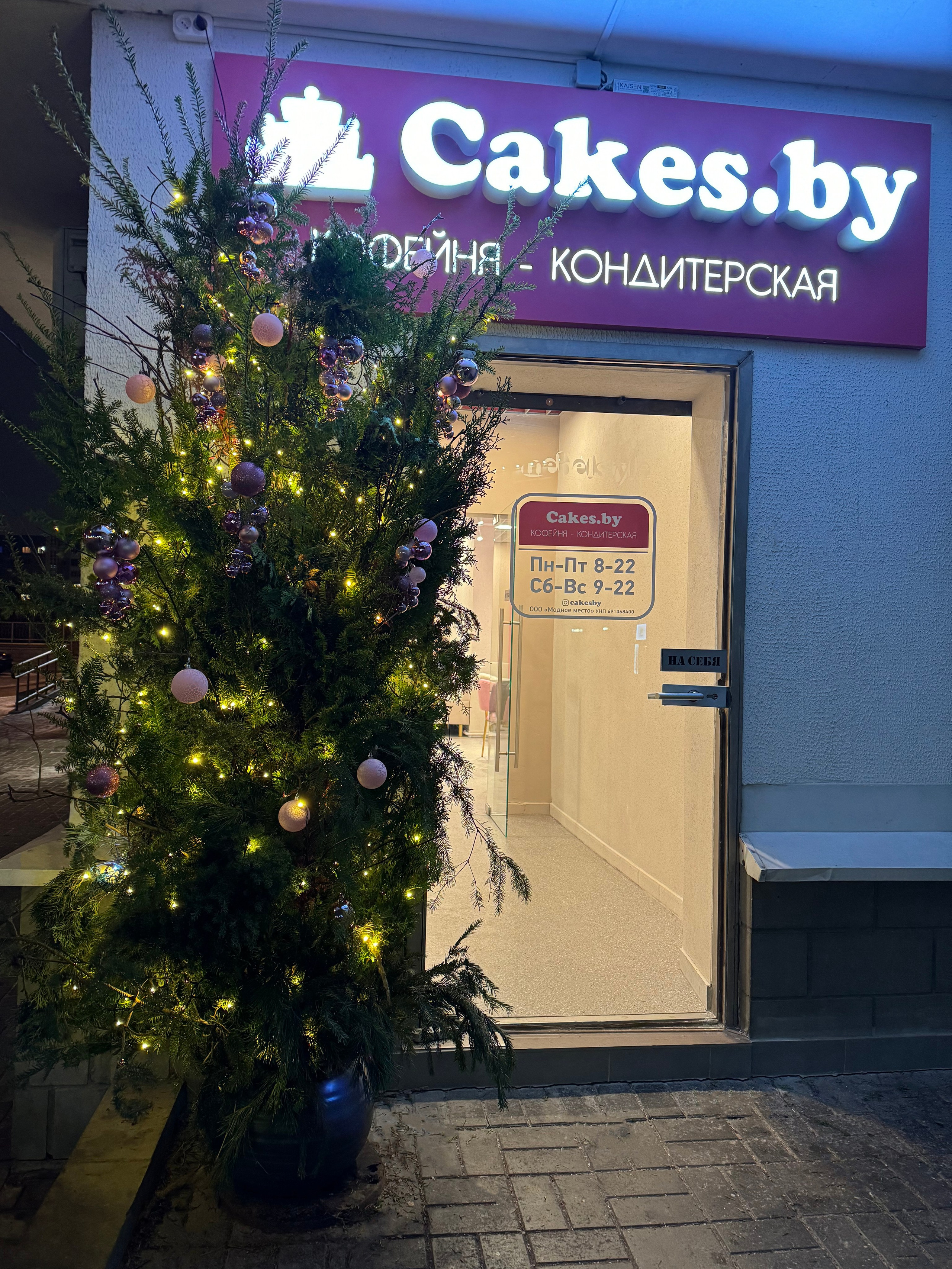 Входные группы ЗИМА. Декоратор в Минске Алёна Шевелёва. Оформление входных групп осень/зима. Декор заведений