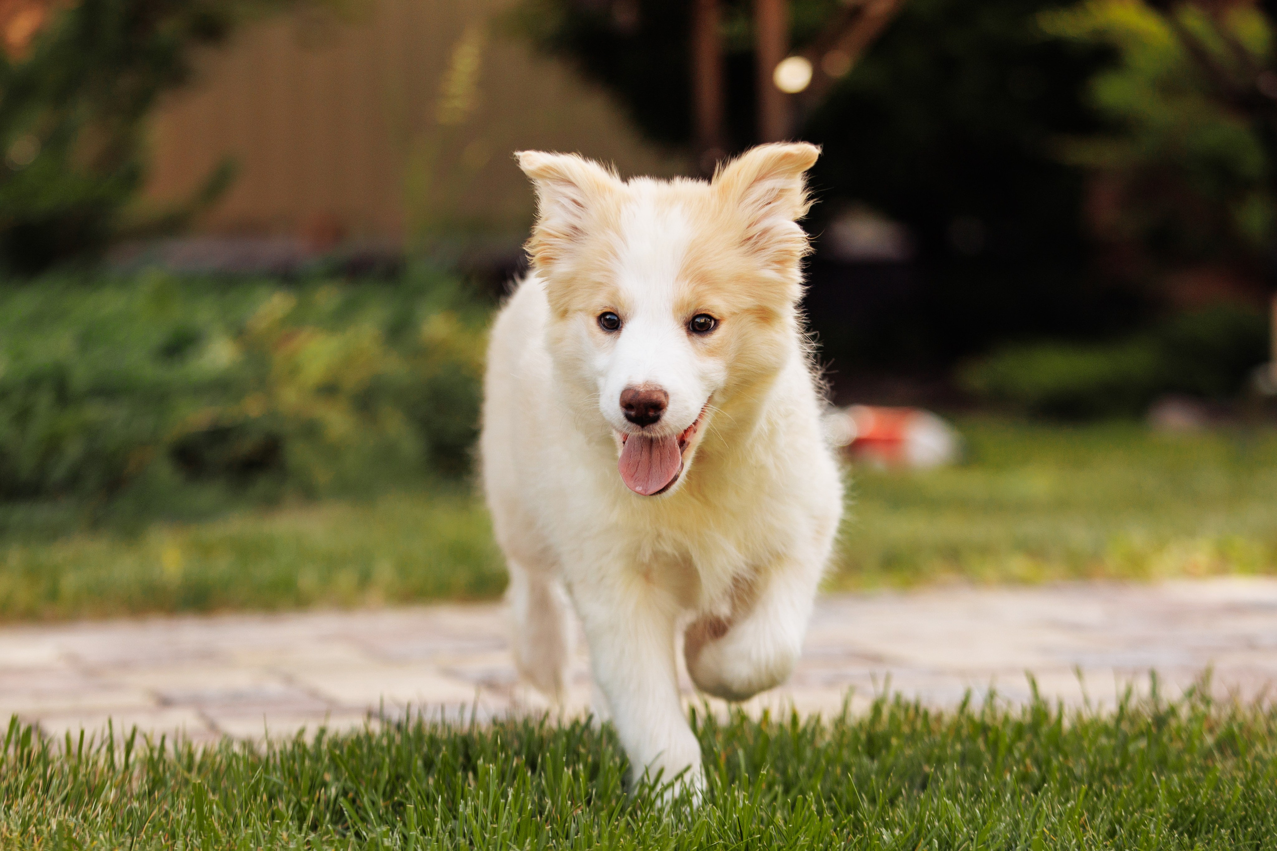 СОлнечные. О нас