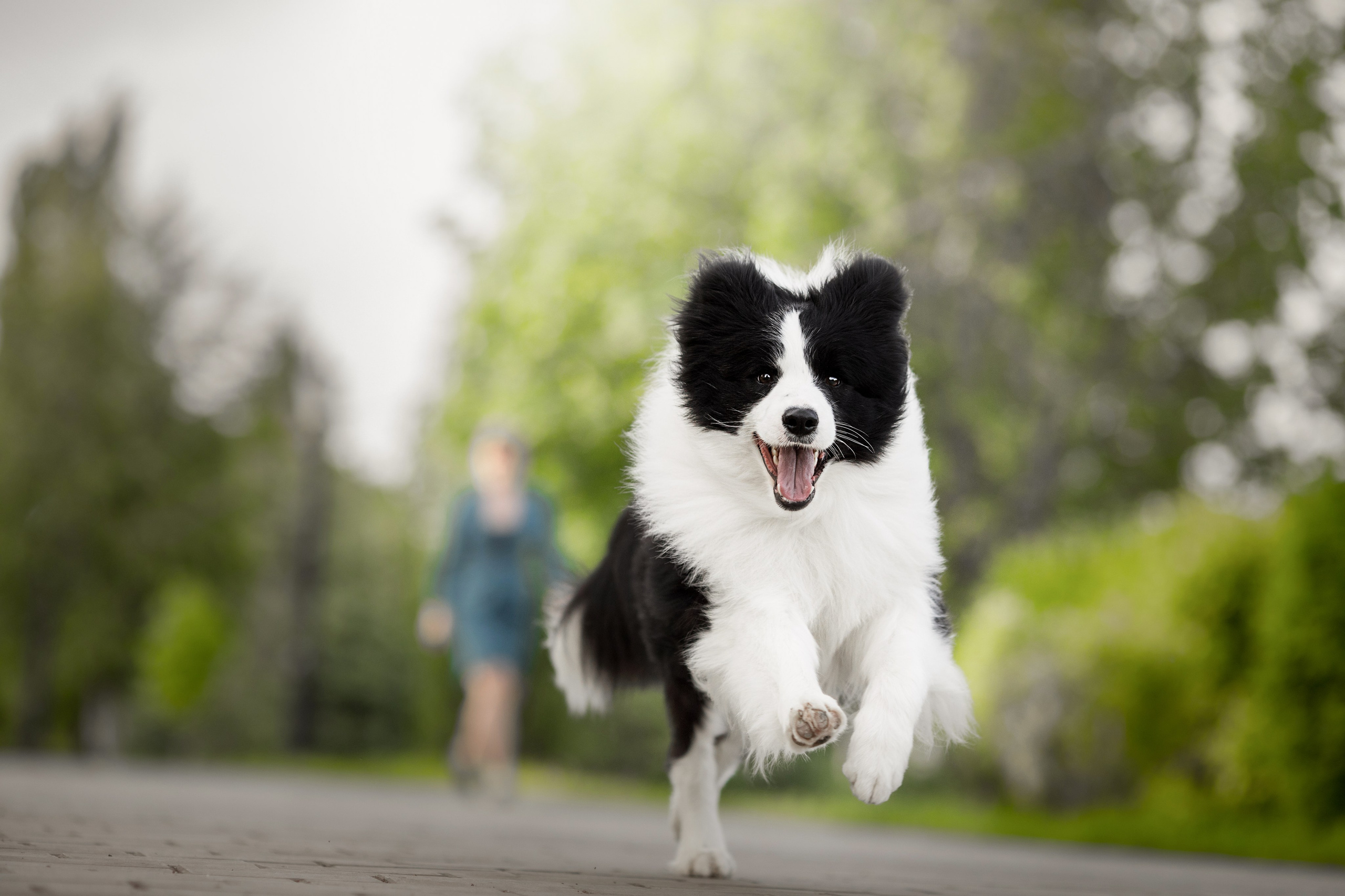 Роскошь в ростошах. О нас