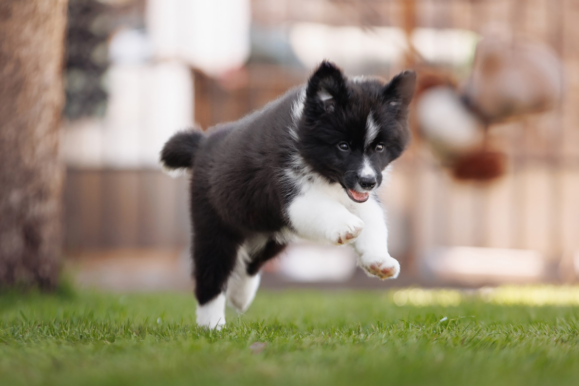 Трава у дома. О нас