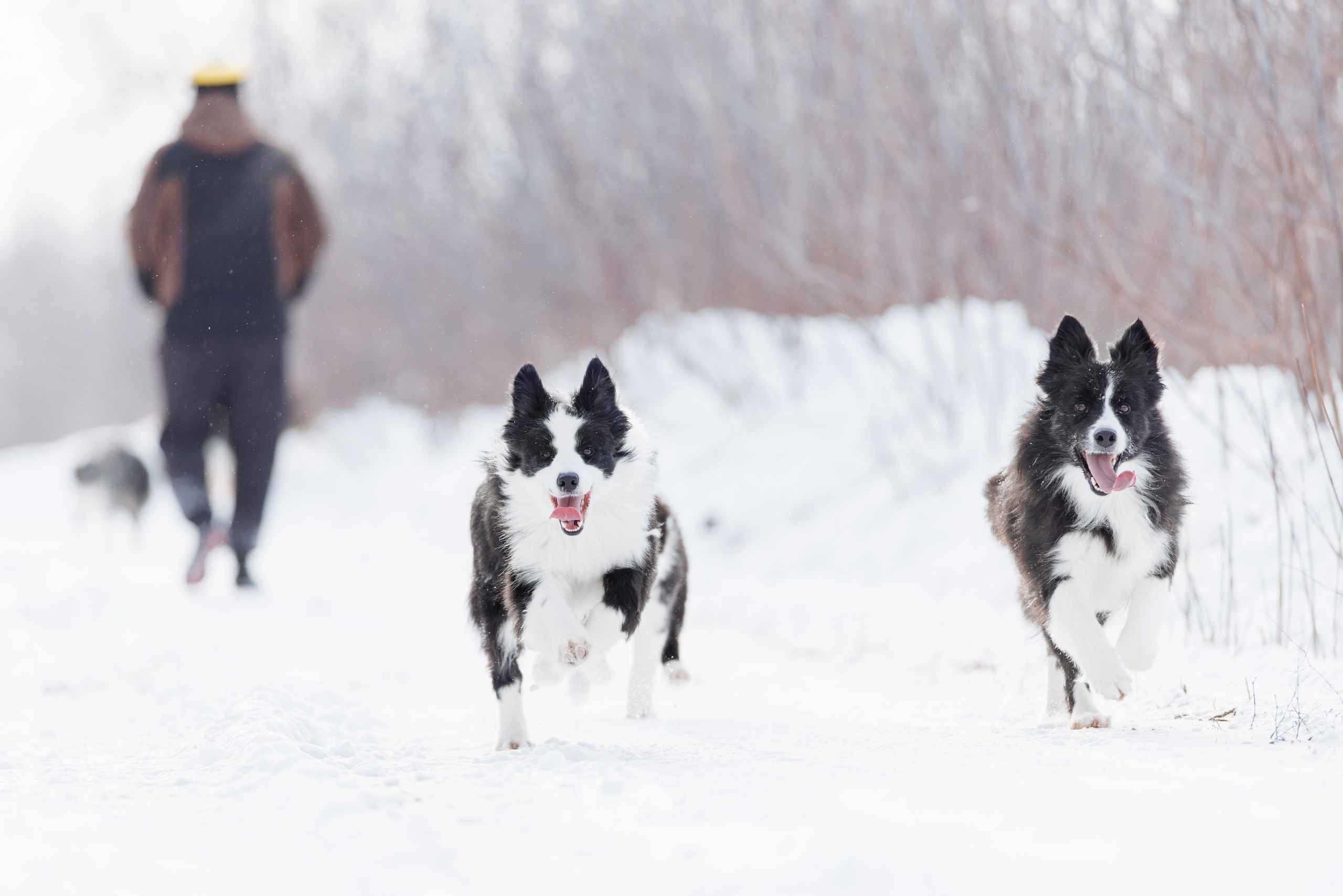 Яркий январь. О нас