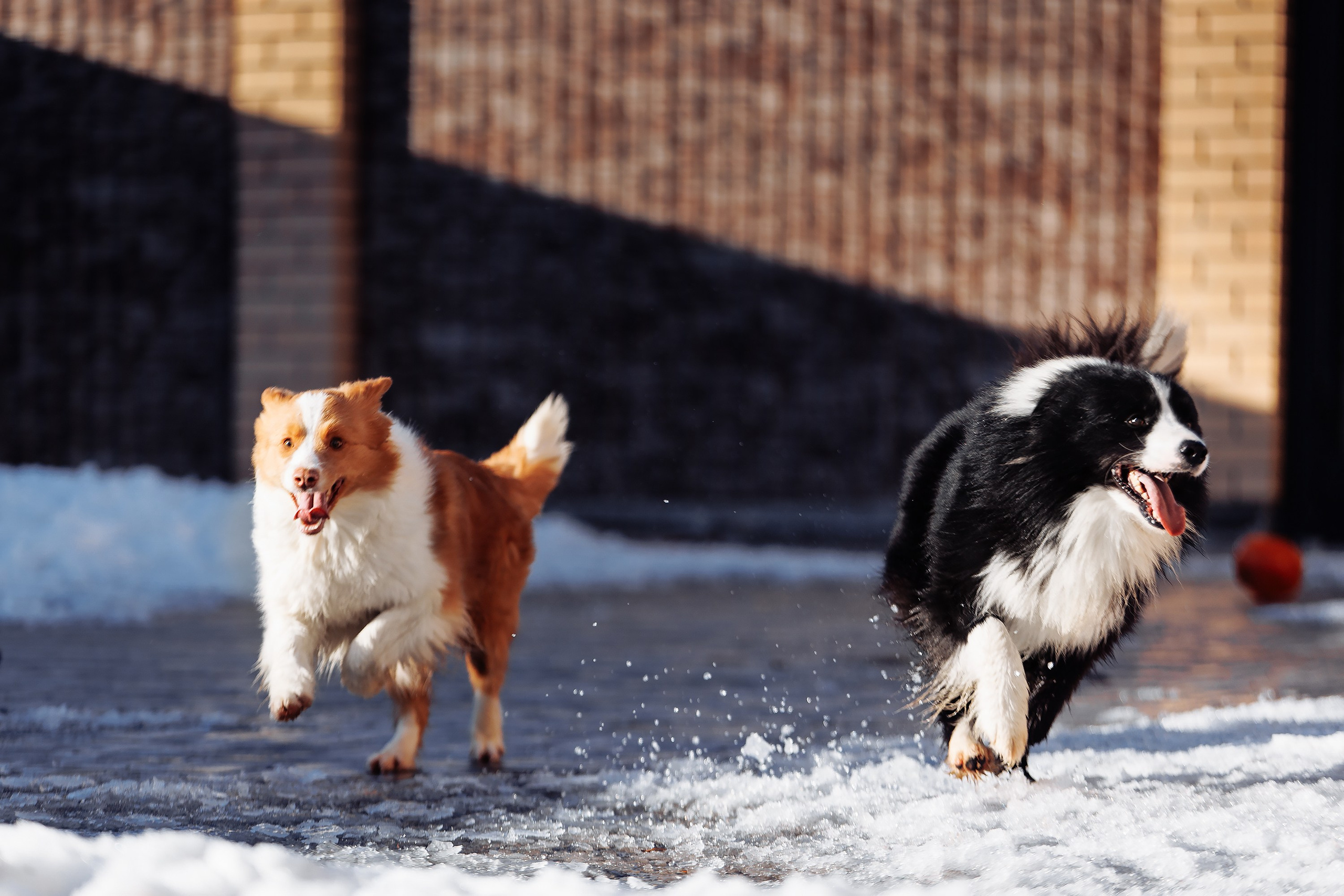 Пока таяло. О нас