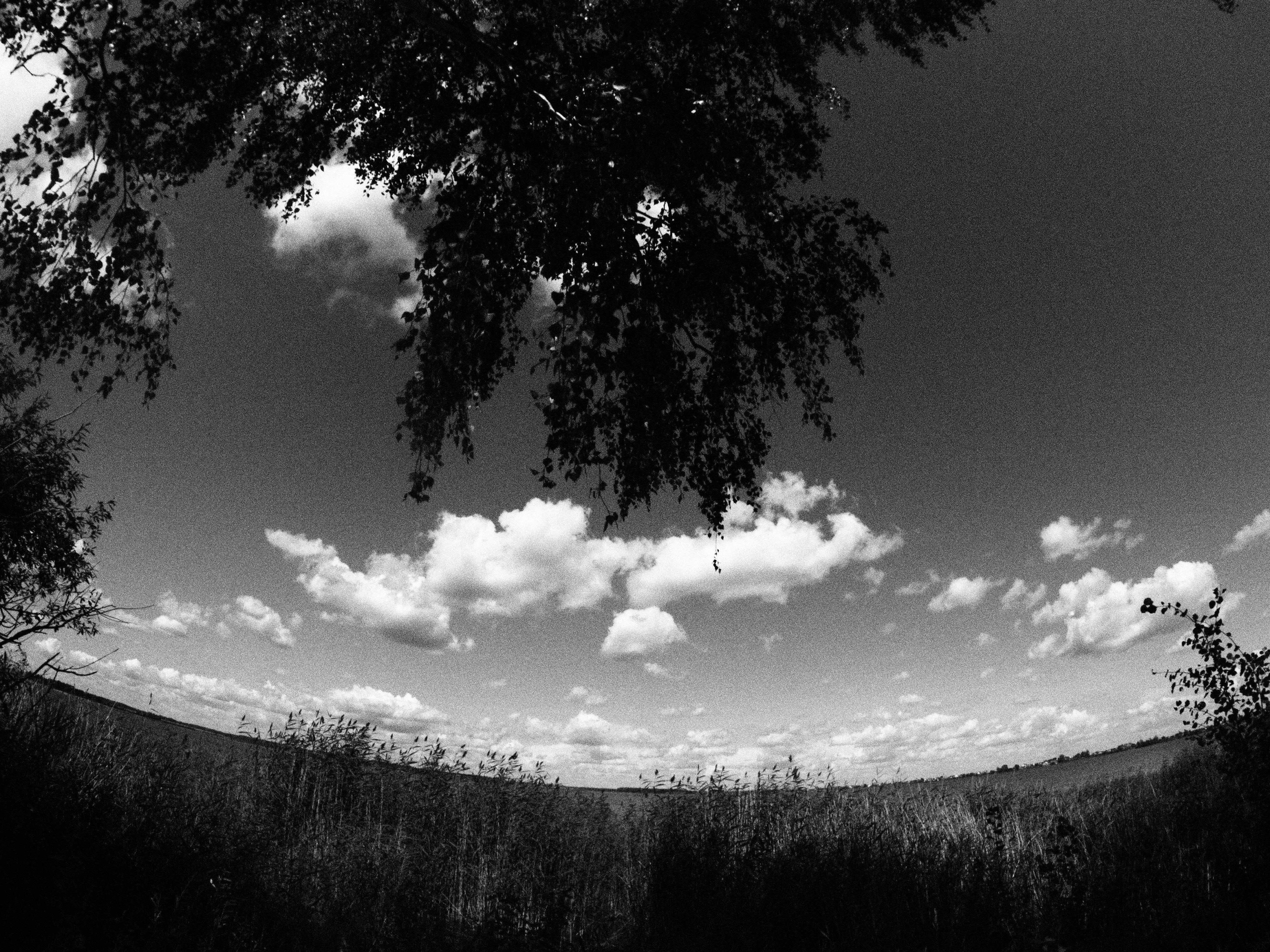 Промежуточные моменты (2023)