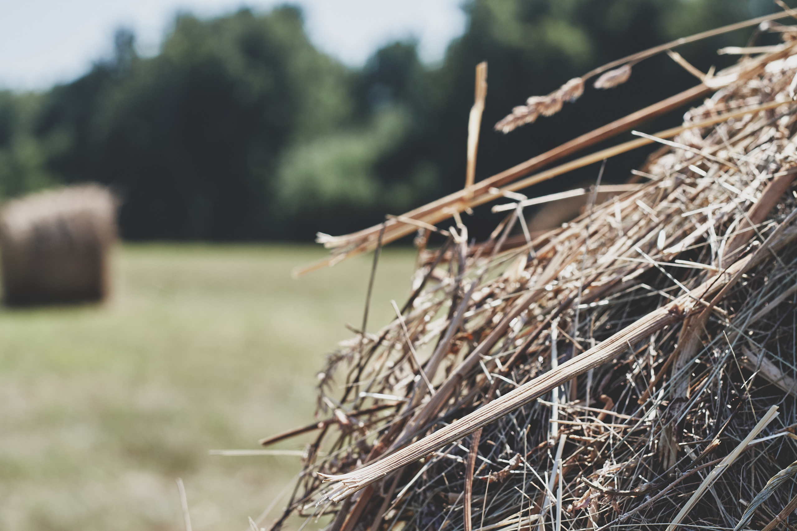 Алтай. Фотограф Александр Рауш