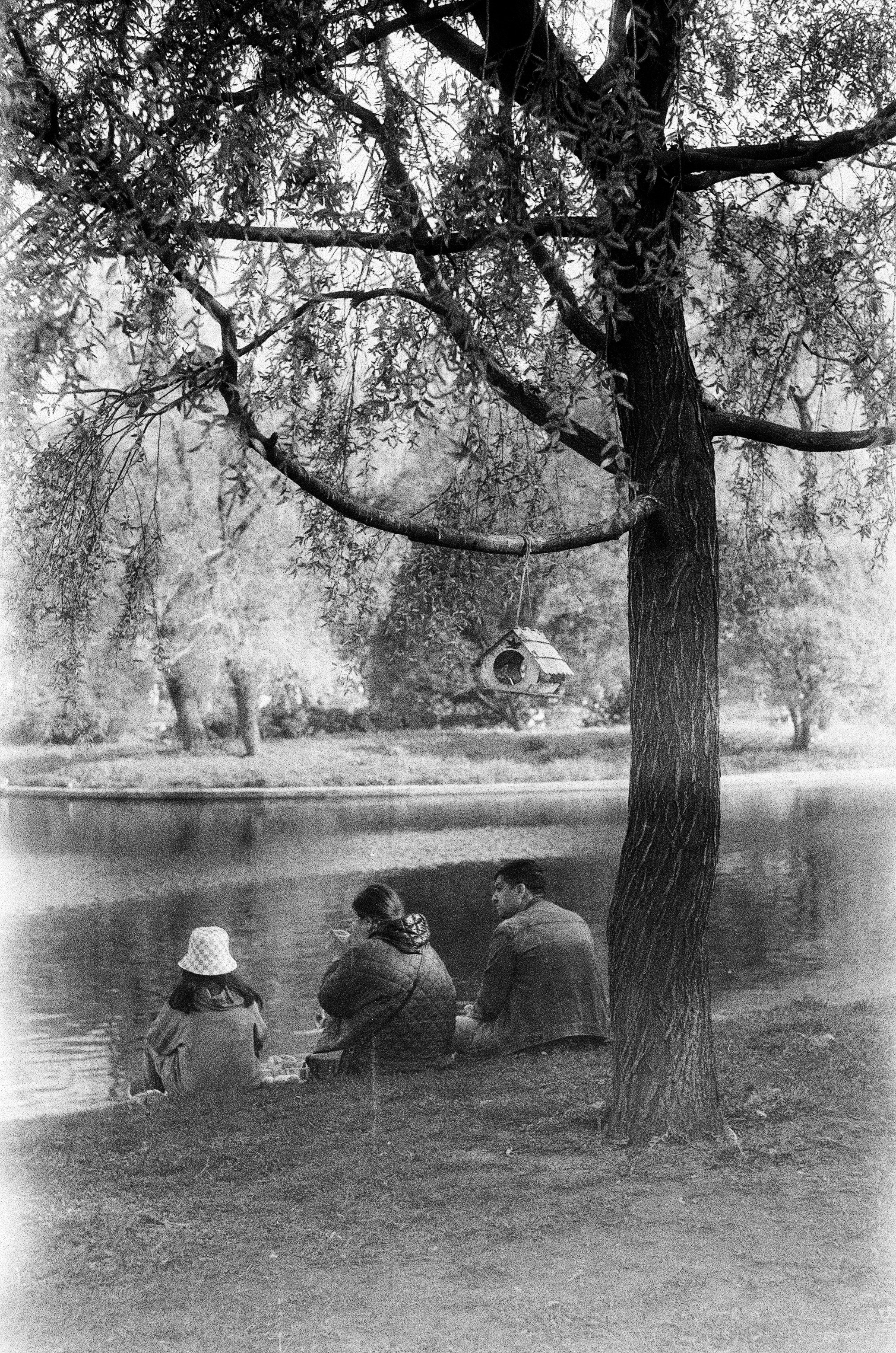 LIFE. Zheltokhov Egor