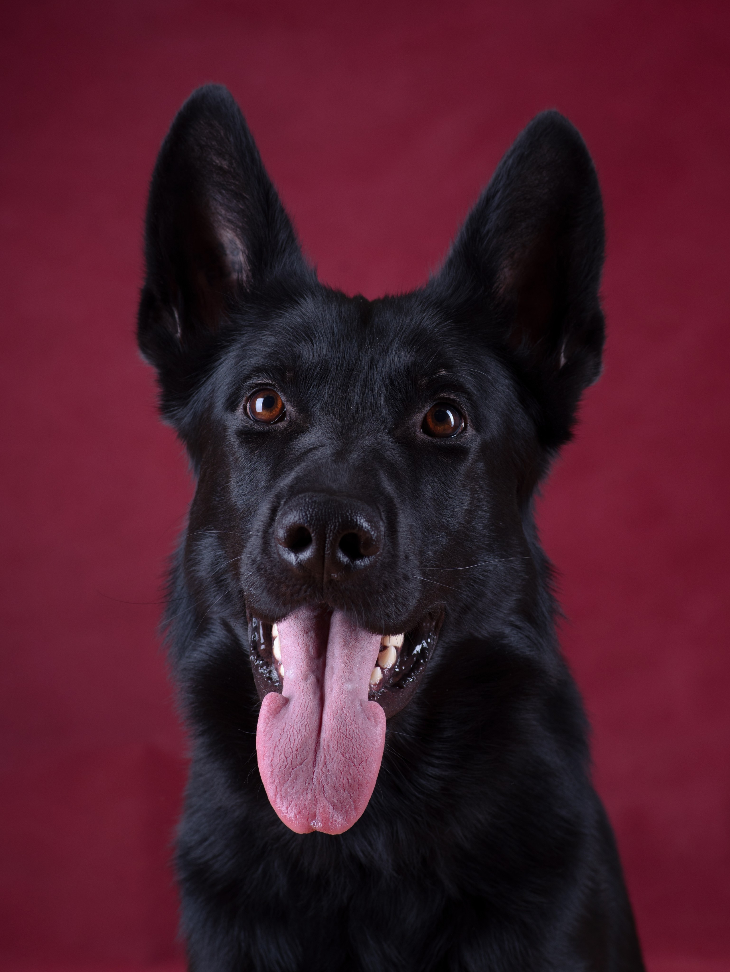 Истории. Фотограф Сергей Мосевнин