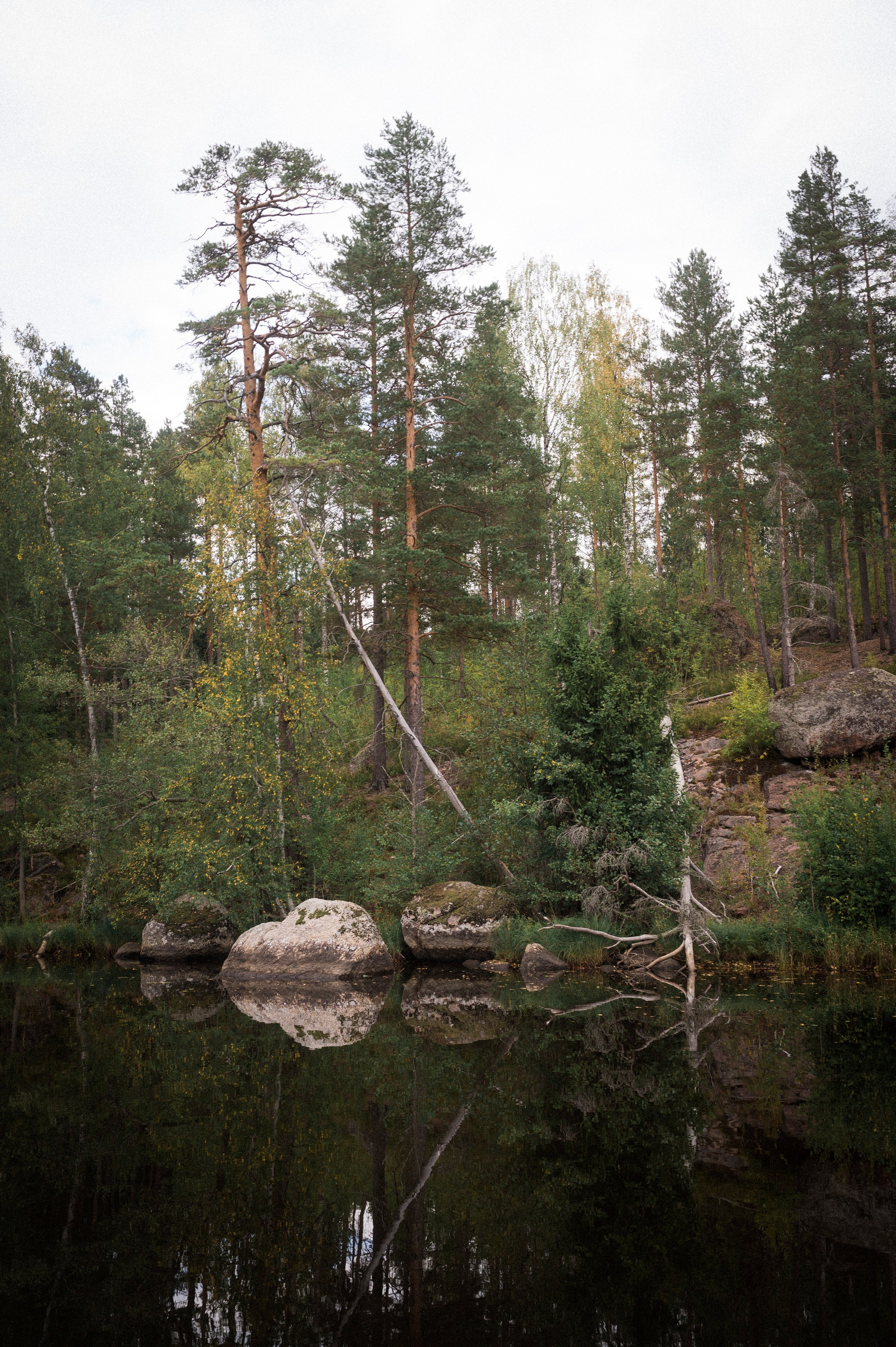 North 2024. Kartascheff