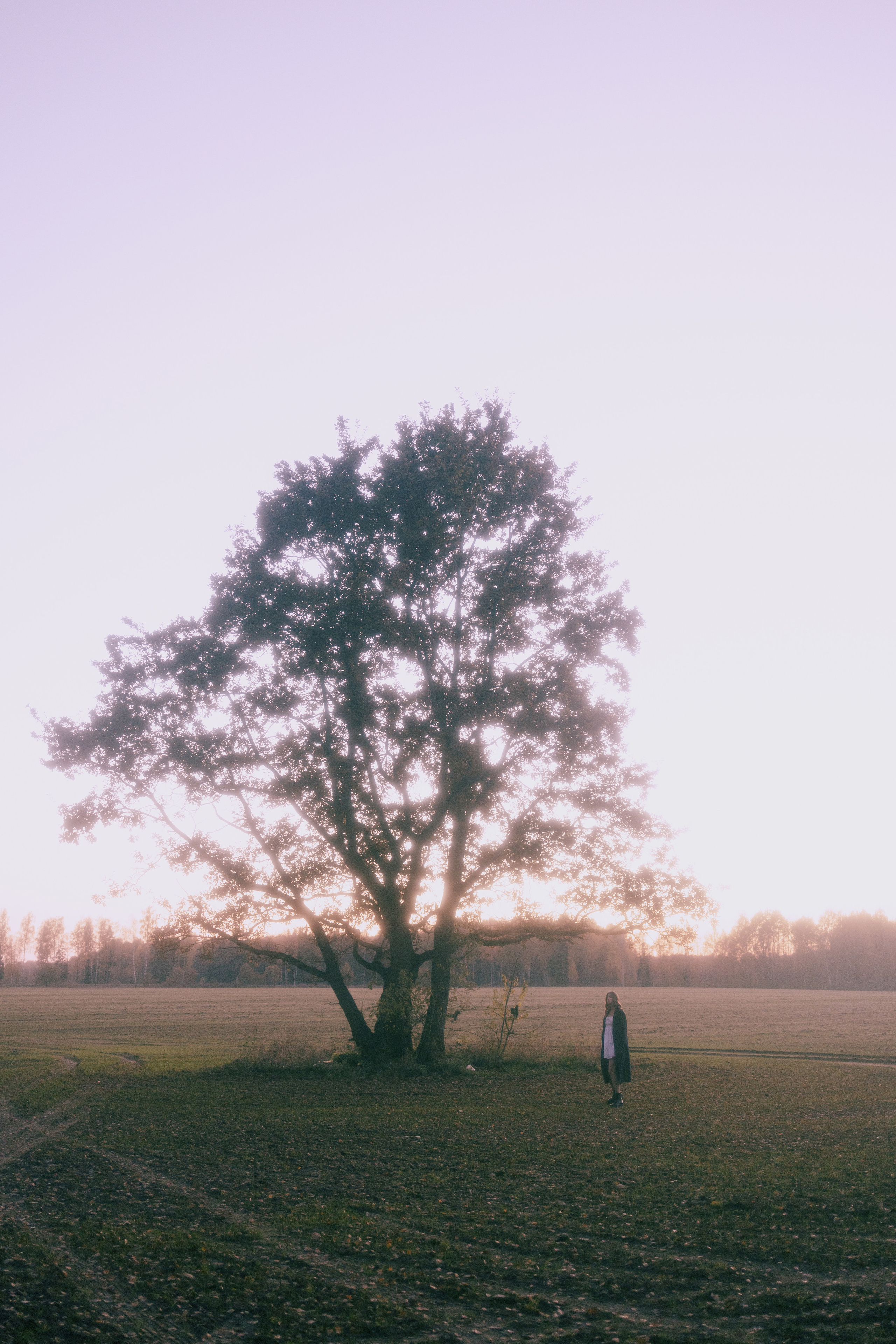 Розовый закат. Портретный фотограф
