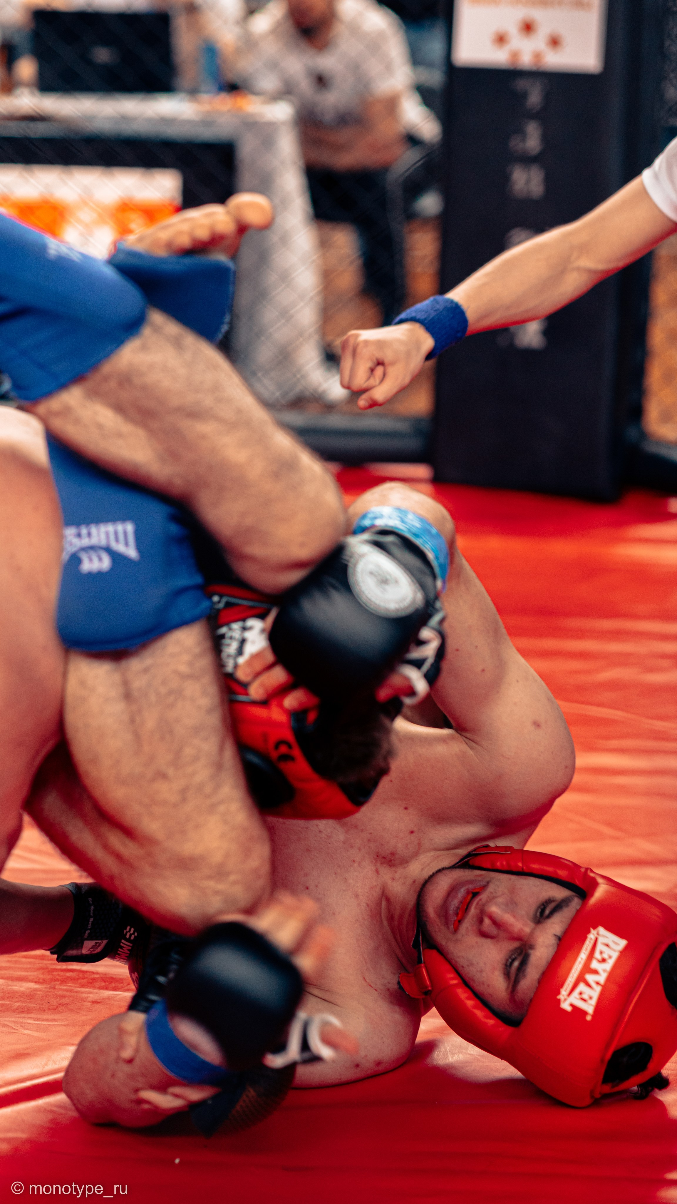 MMA. Бойцовский турнир