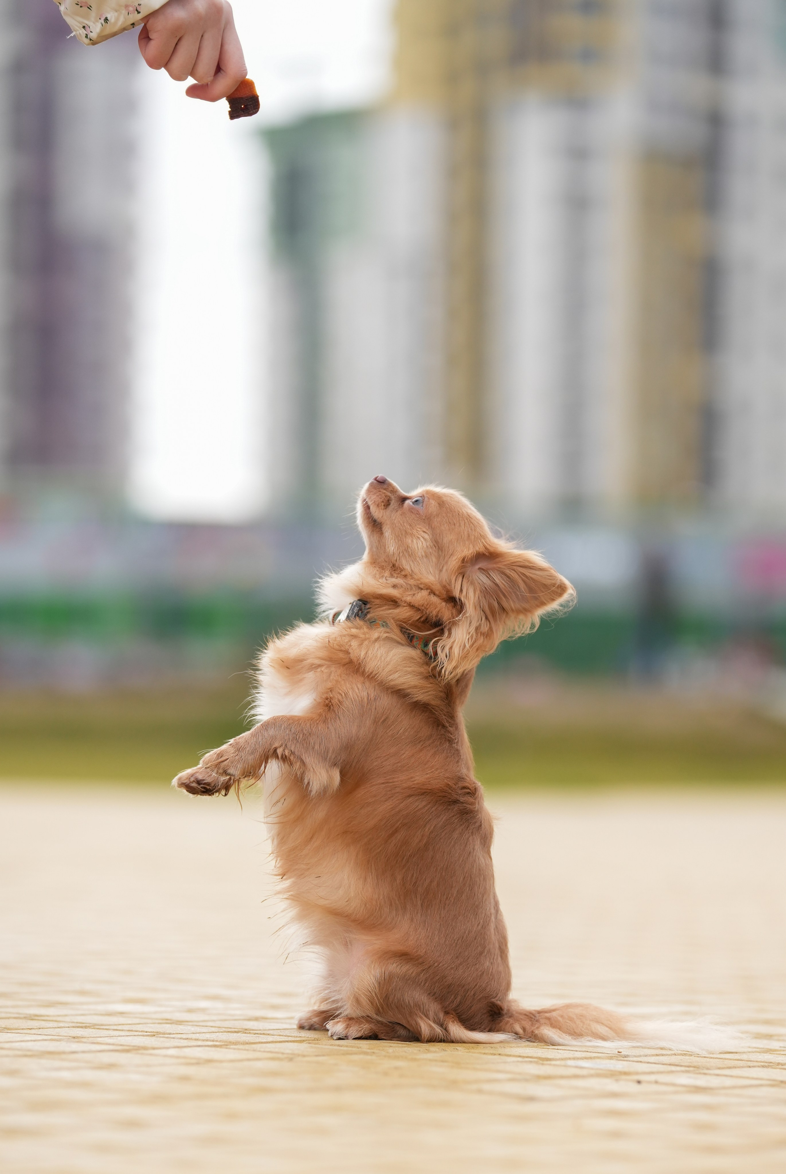 ВАРЯ И ЛИЛУ. Фотограф Наталья Погодина в г. Обнинске