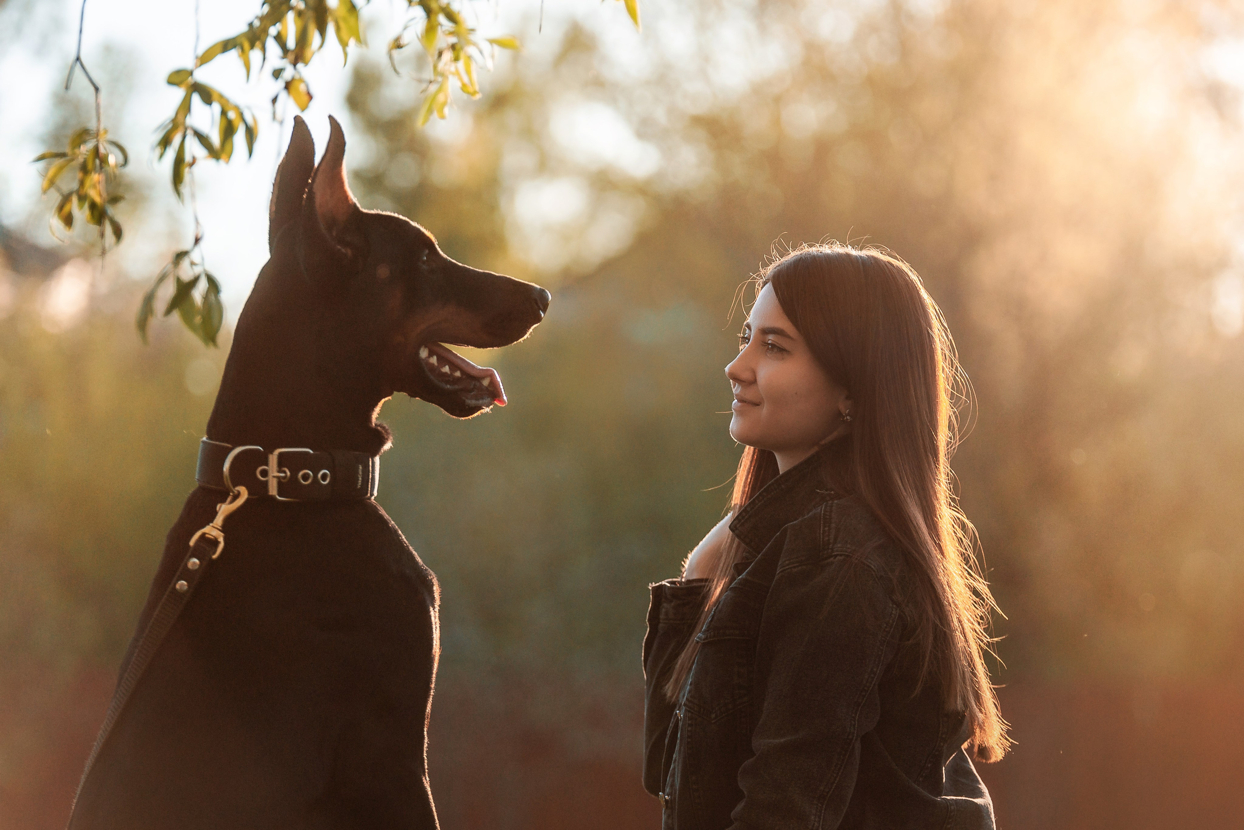Юля, Андрей и Арес. Фотограф-анималист Анастасия Парфенова|Екатеринбург