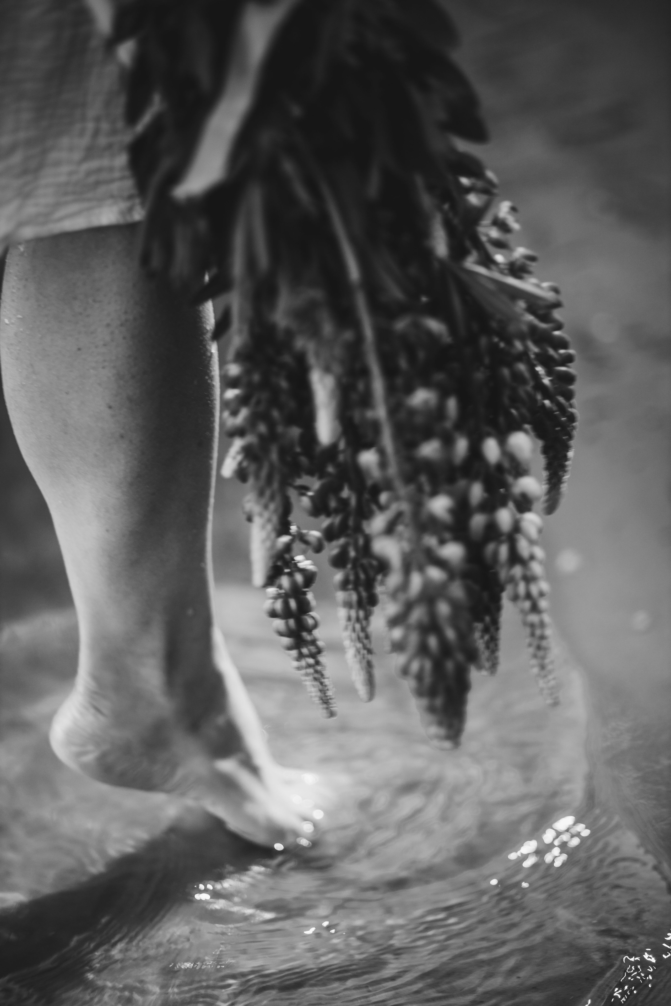 Lupin Quarry 2024. Фотограф Наталья Шпиллер Санкт-Петербург