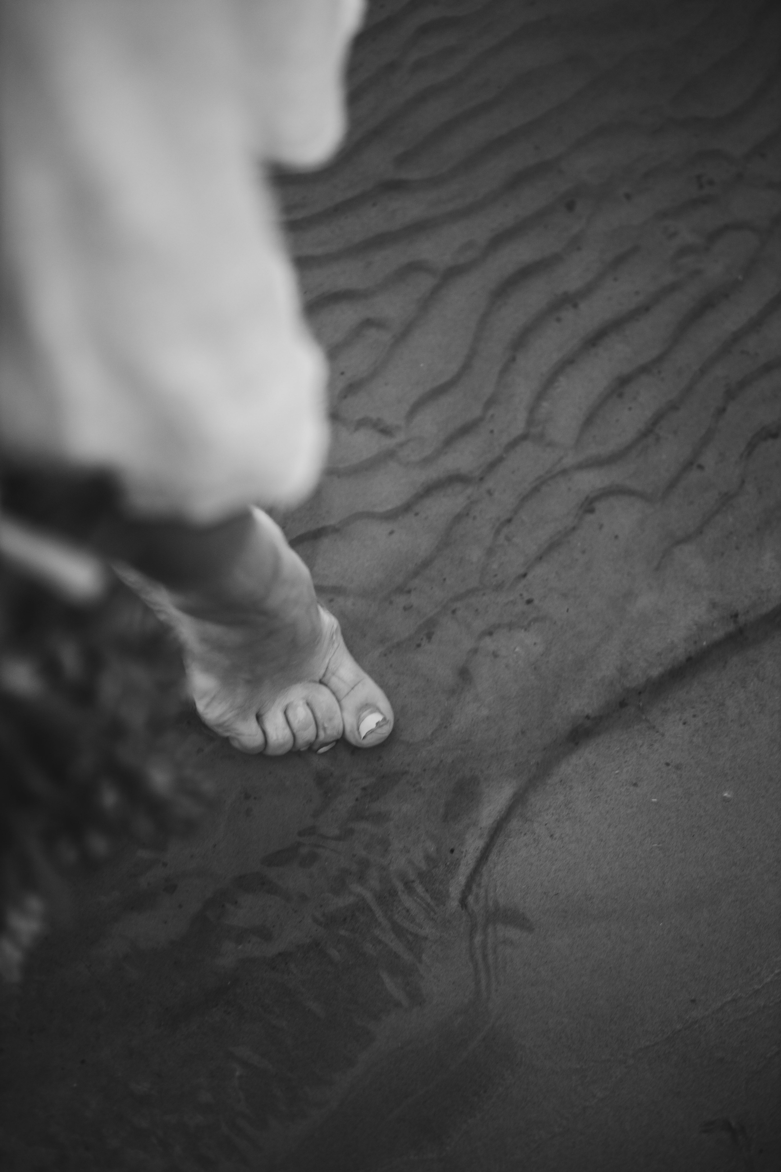 Lupin Quarry 2024. Фотограф Наталья Шпиллер Санкт-Петербург