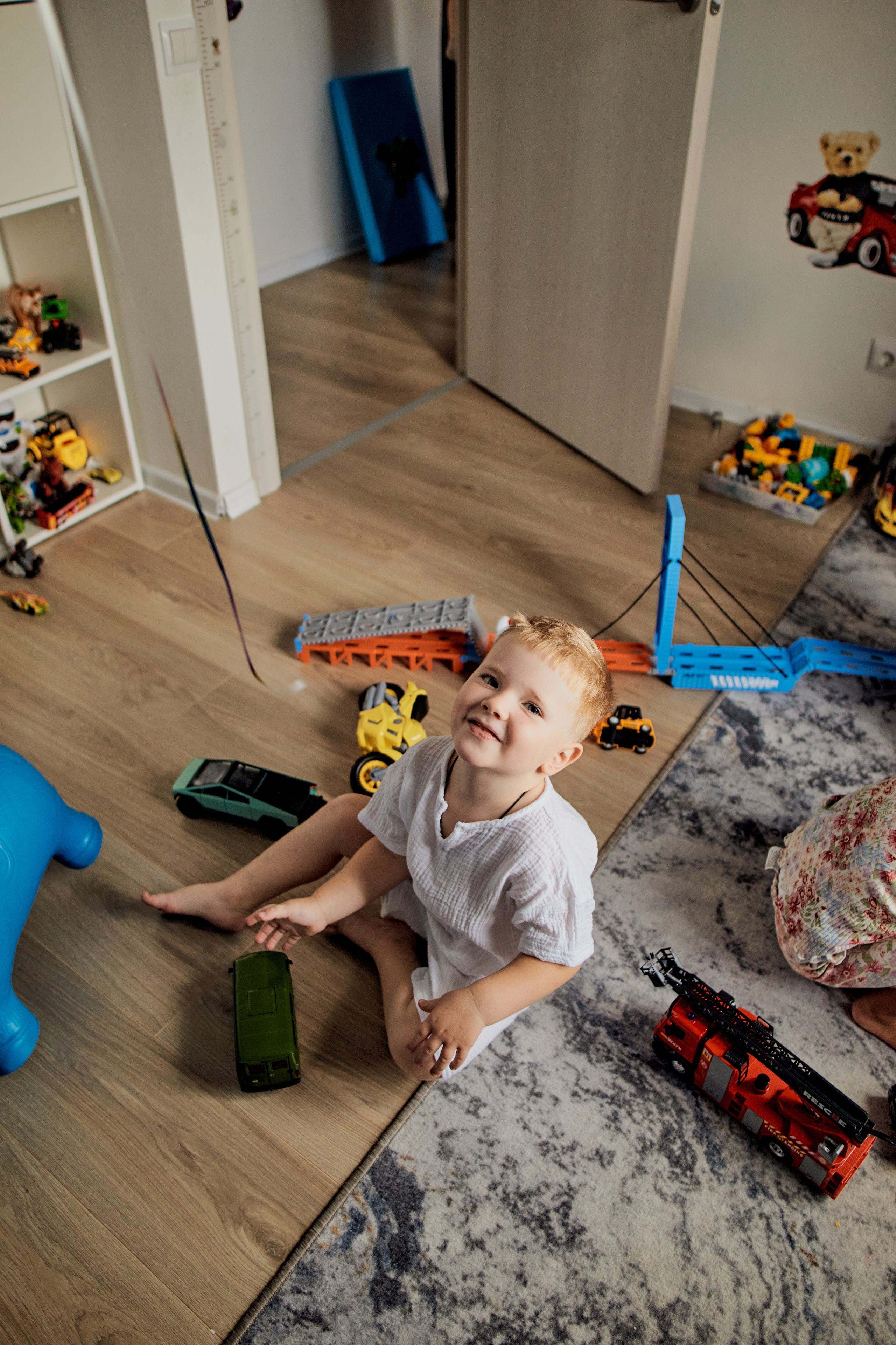 Три кота. Фотограф Москва