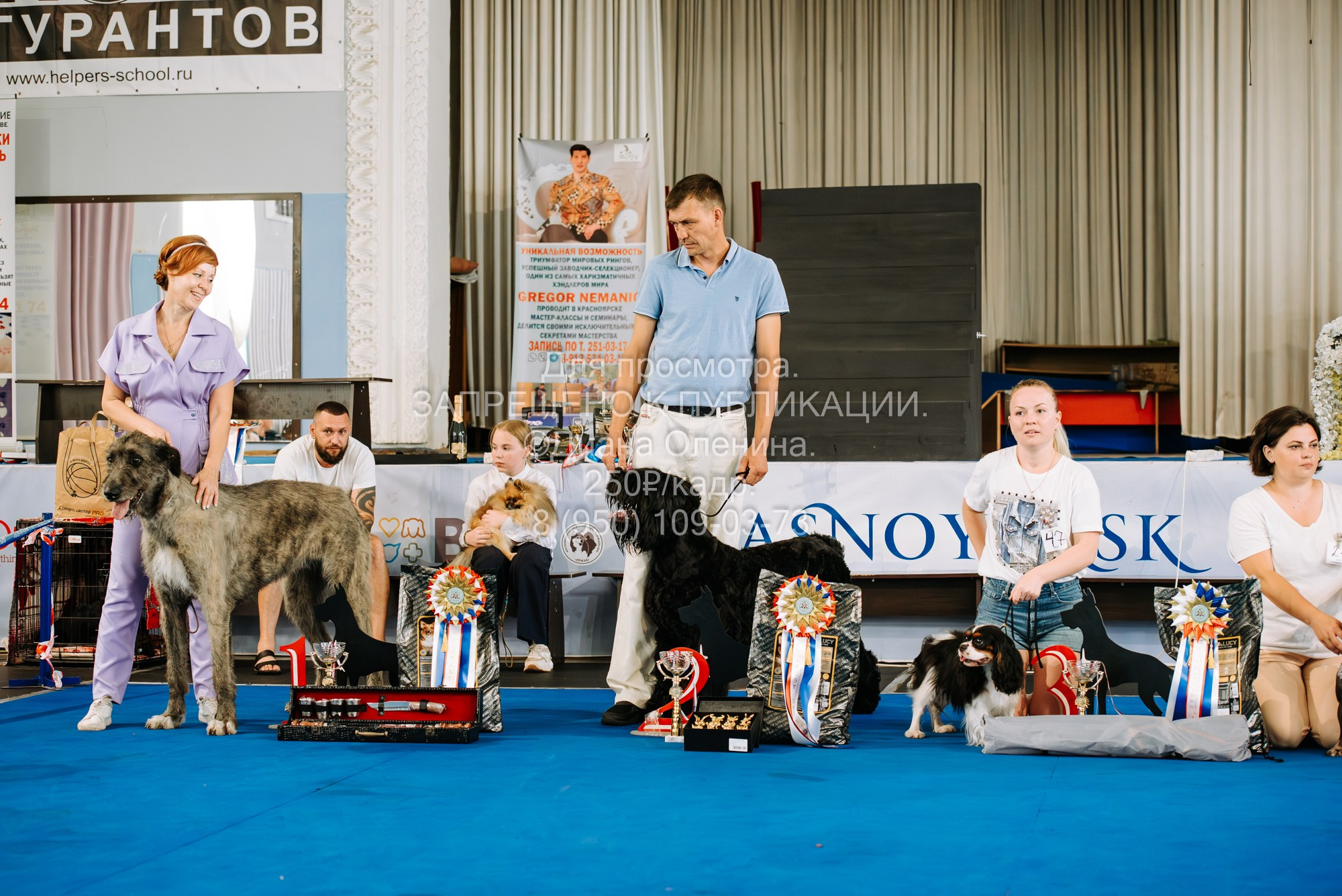 Национальная выставка собак всех пород ранга САС-IKU «Кубок Красноярск. Фотограф Диана Оленина Красноярск / Братск