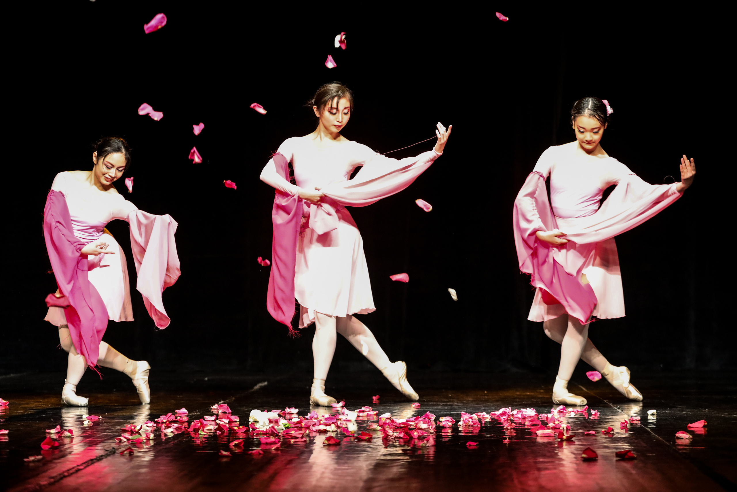 DANCE. Professional reportage photographer in Israel Julia Shaki