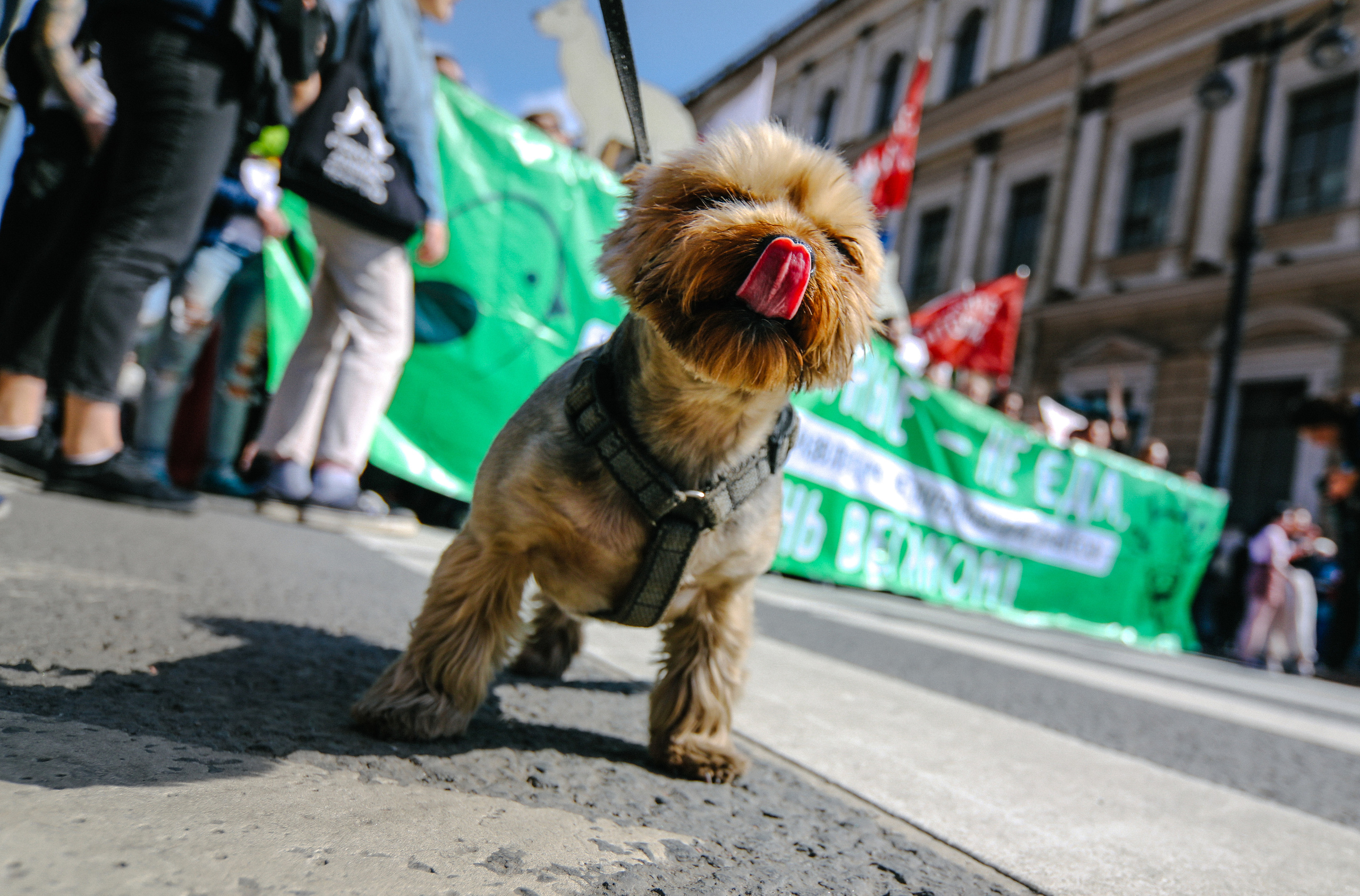 REPORTAGE. Professional reportage photographer in Israel Julia Shaki