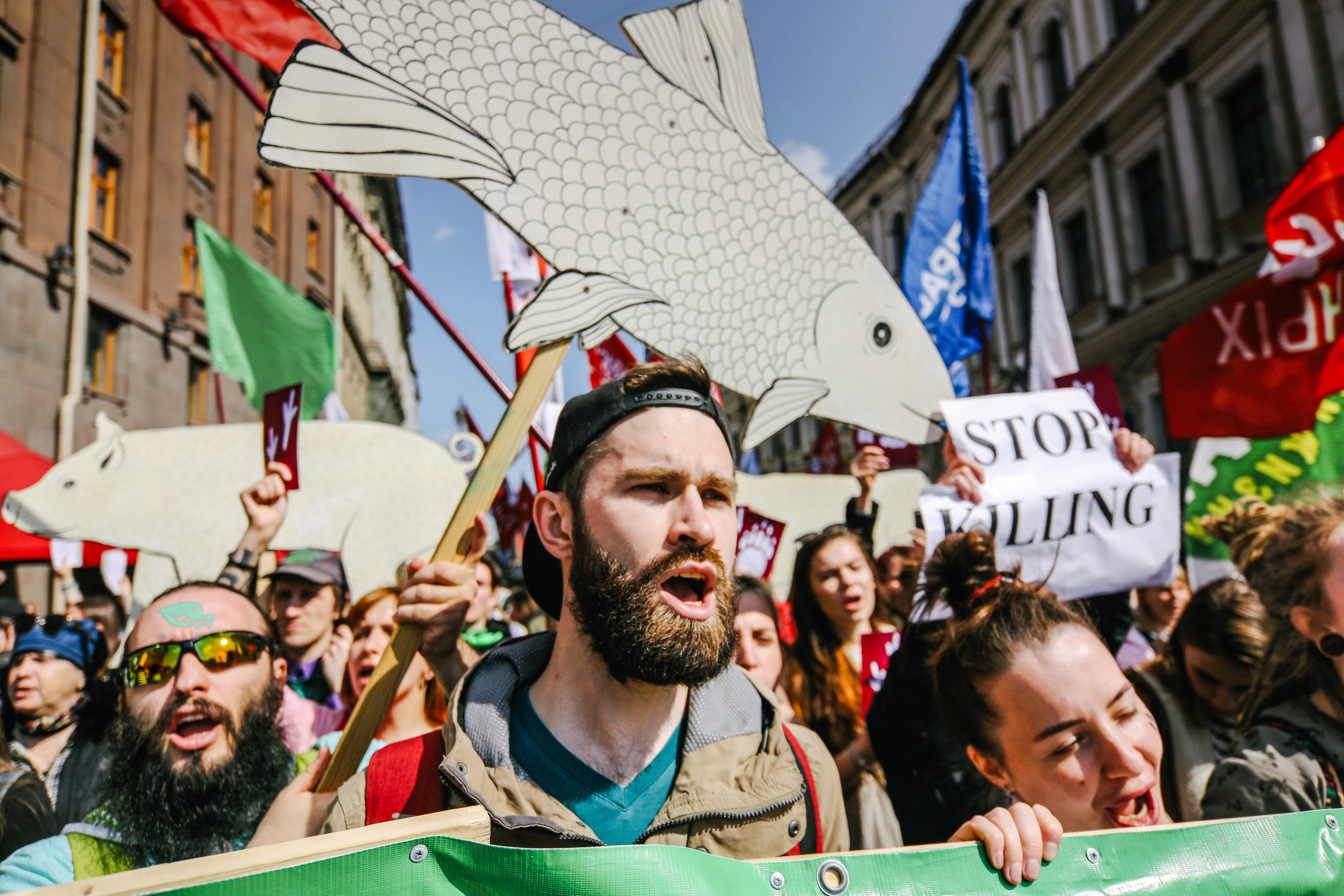 REPORTAGE. Professional reportage photographer in Israel Julia Shaki