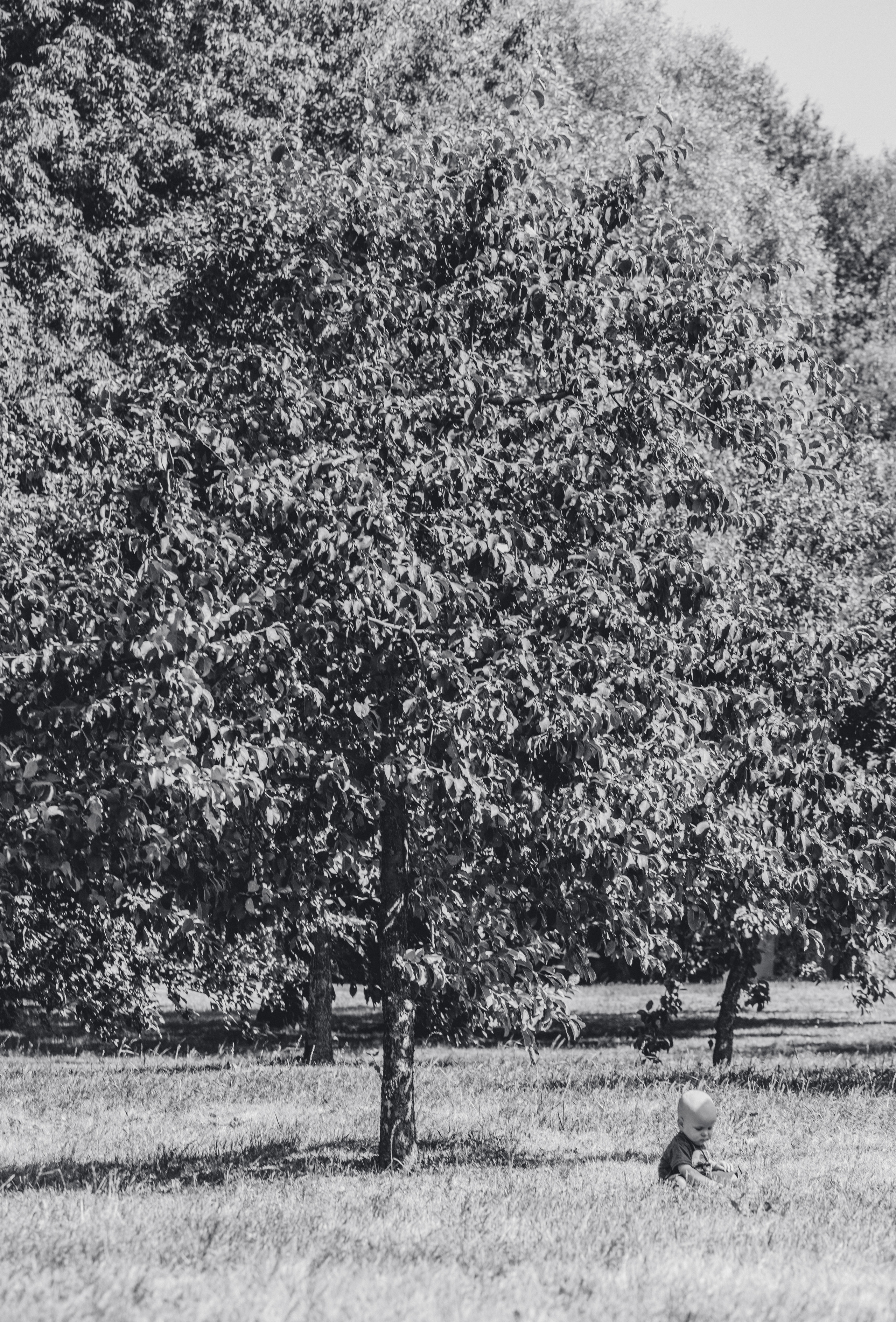 CHILDHOOD. Professional reportage photographer in Israel Julia Shaki