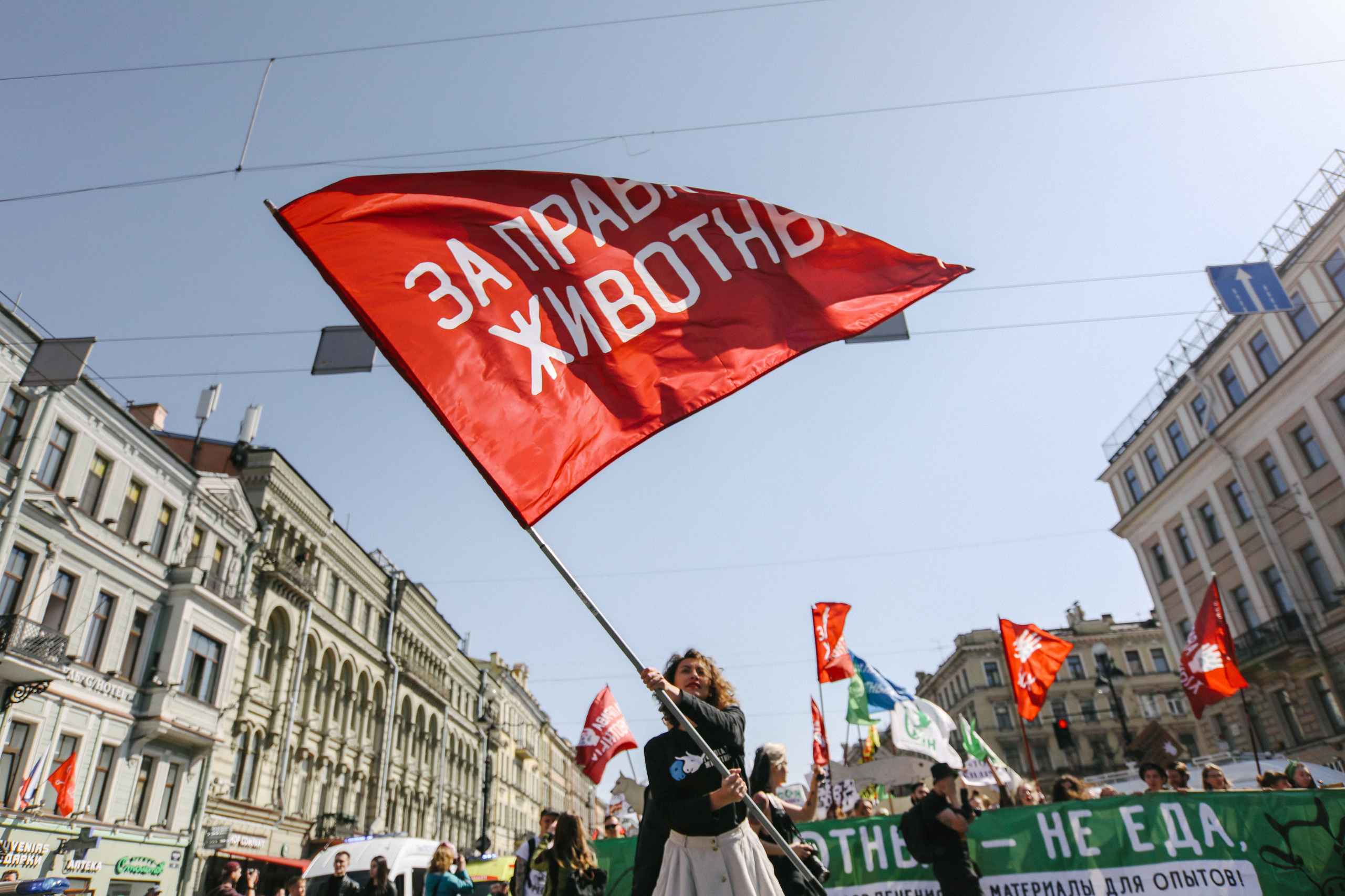 REPORTAGE. Professional reportage photographer in Israel Julia Shaki