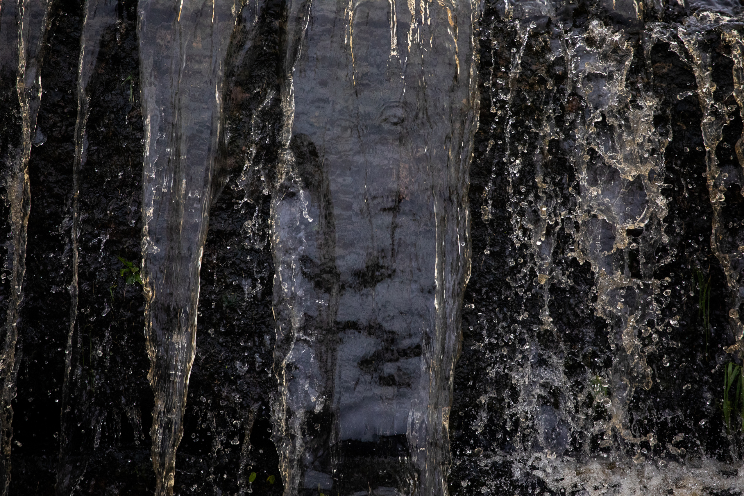 Professional reportage photographer in Israel Julia Shaki