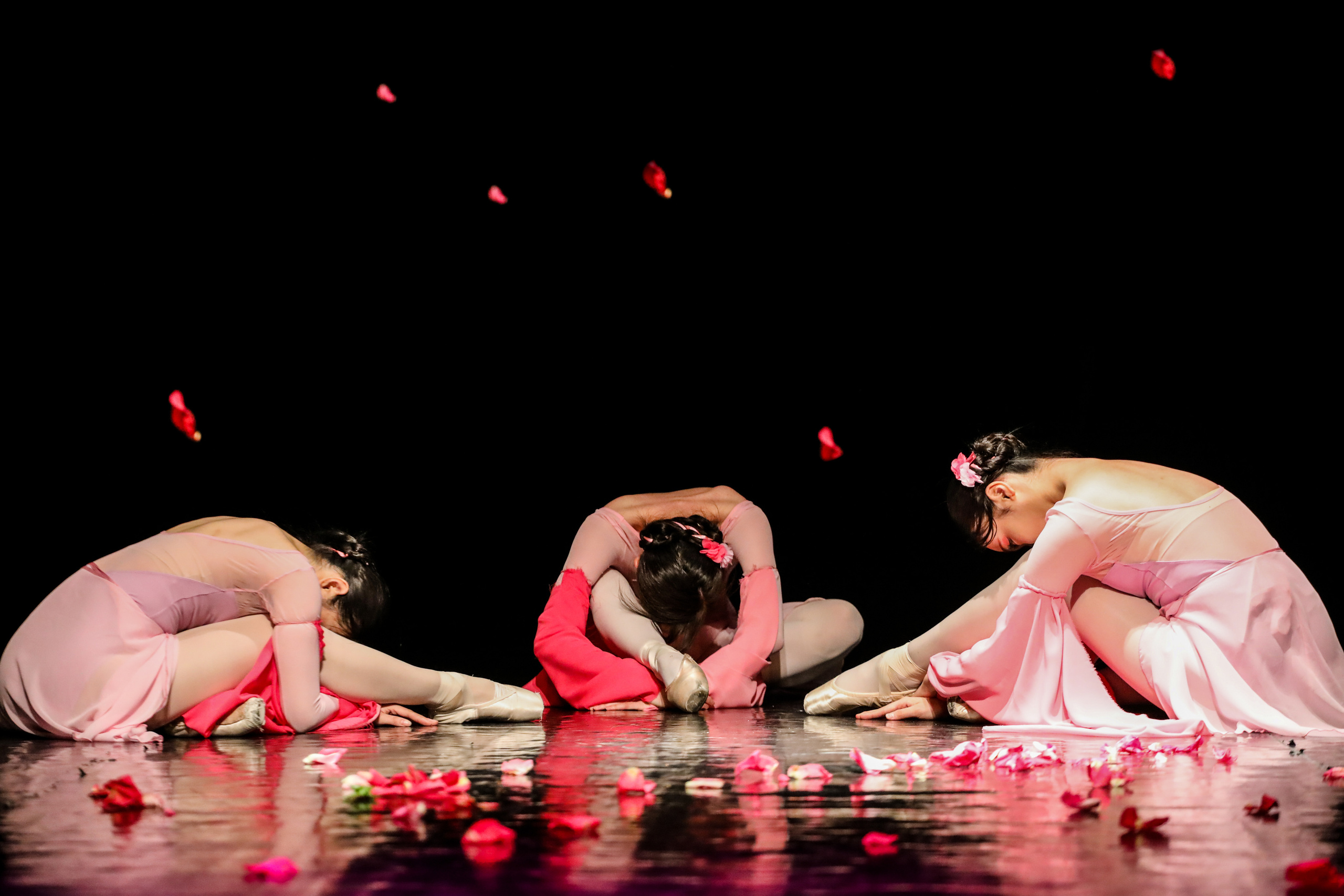 DANCE. Professional reportage photographer in Israel Julia Shaki