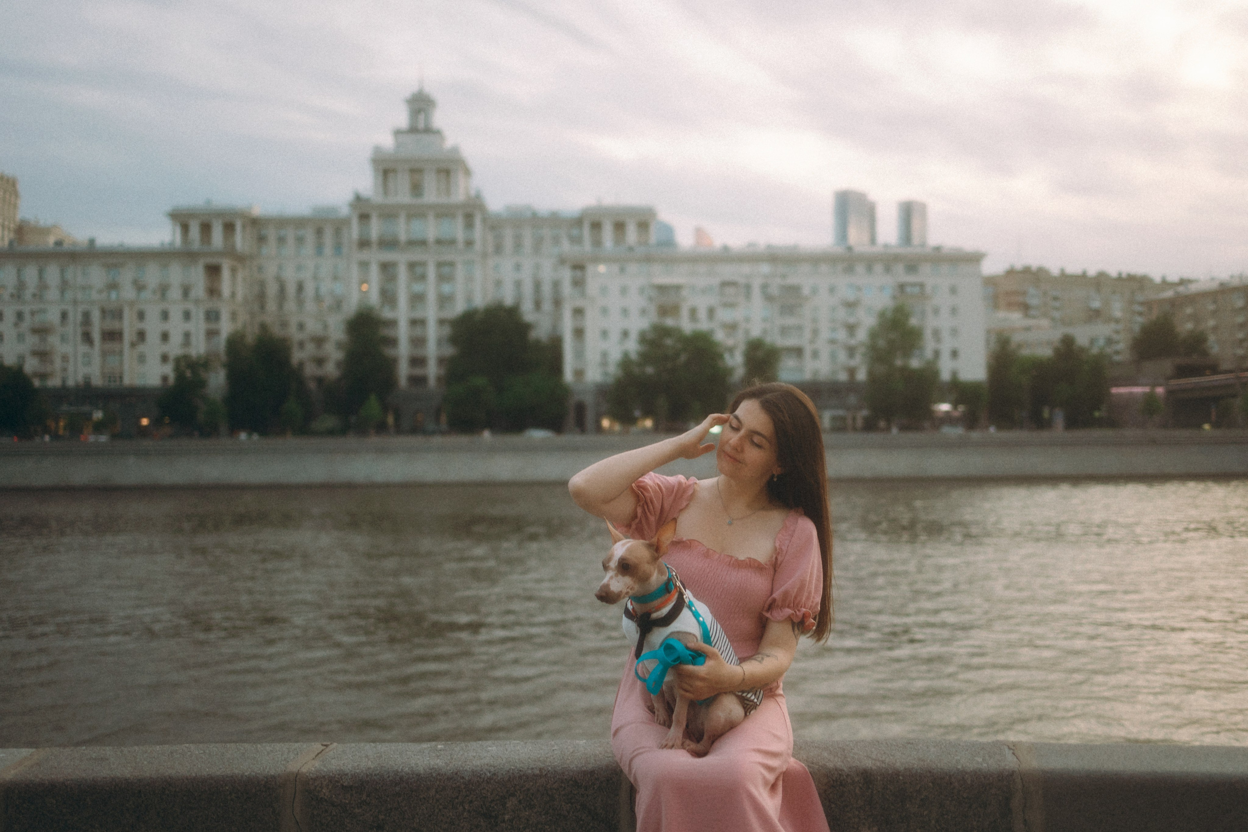 Глаша, Айрон, Ксюша и Оля. Фотограф анималист Анастасия Пикей