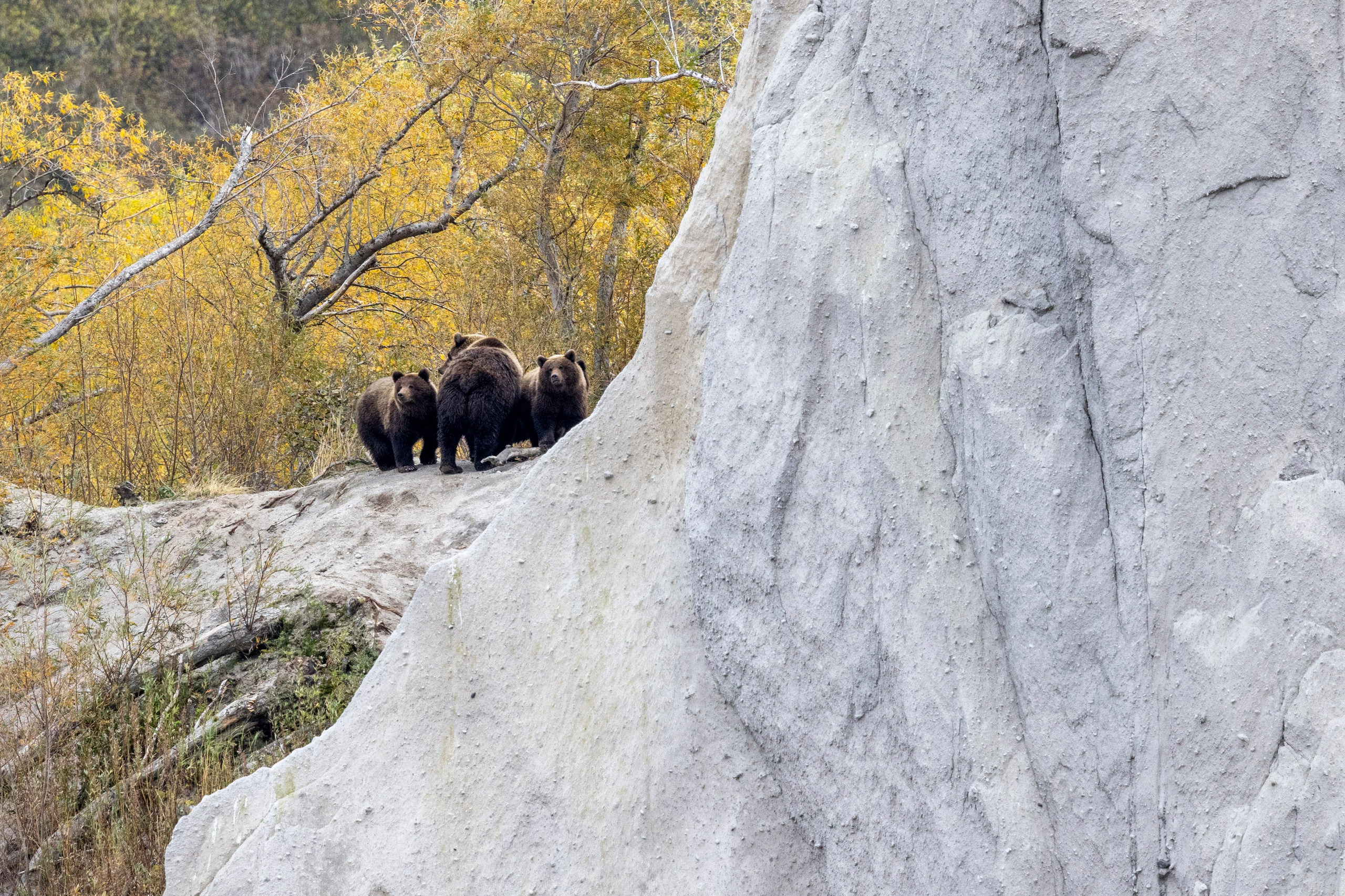 Курильское озеро — шестидневный тур в сердце дикой Камчатки. Время Камчатки: чтобы найти свой путь, нужно скорость умножить на время
