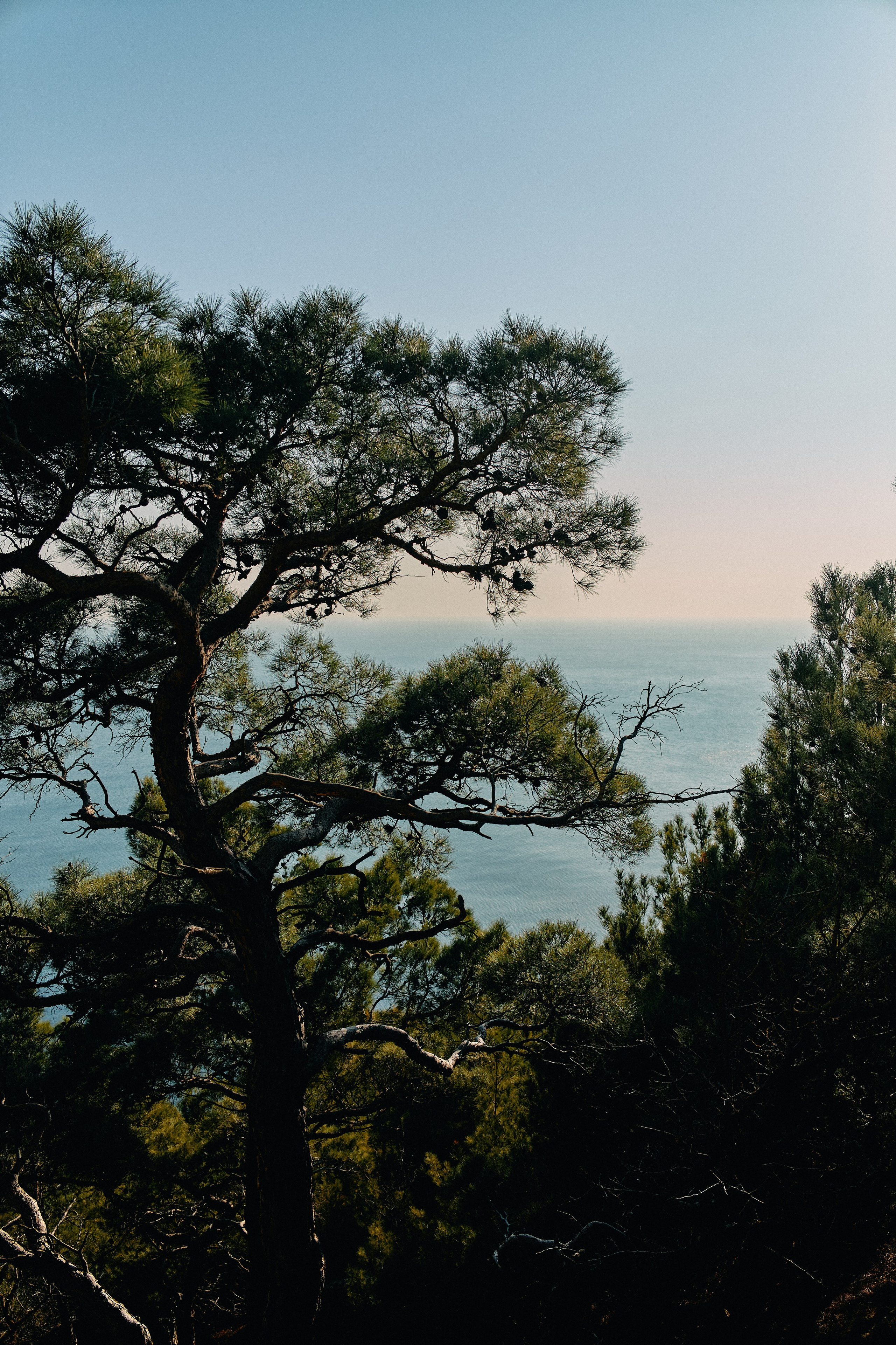 Юг России. Профессиональный Фотограф во Владимире, в Москве и в Суздале — Полина Романычева