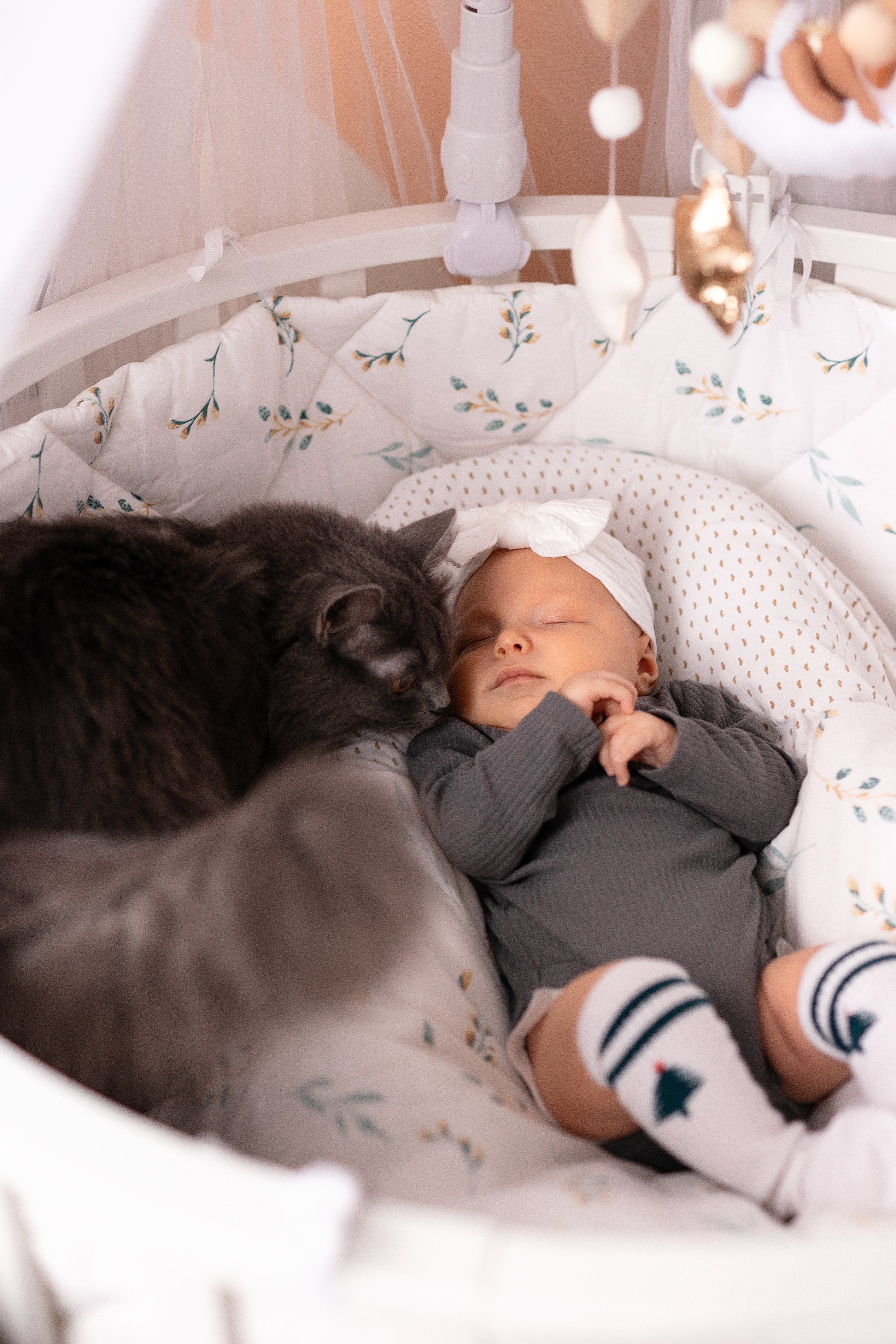 Семейные. Твой фотограф в Москве